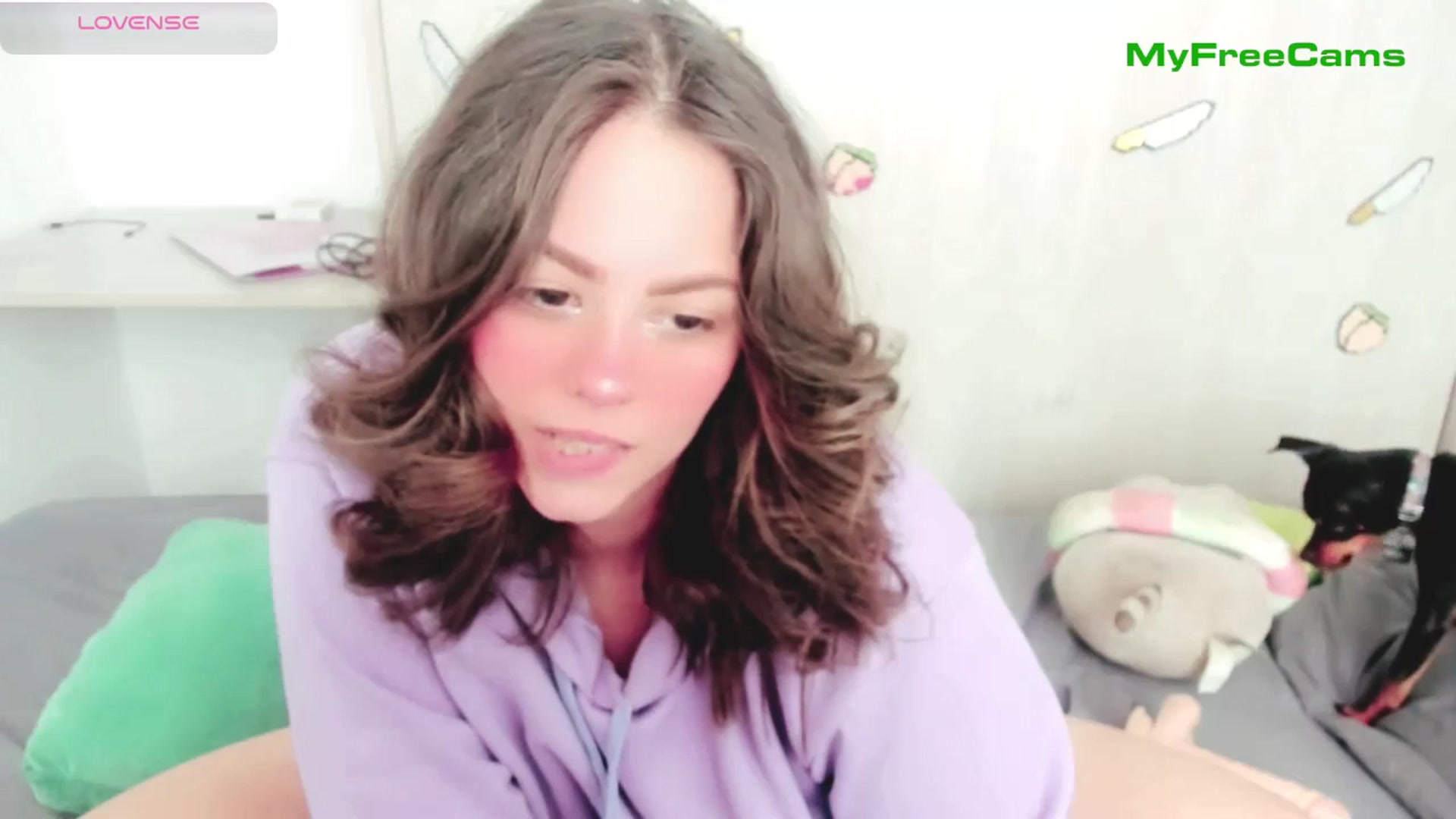 Gallery image thumbnail from PeachyBlade's myfreecams stream on, 12/28/2025, 16:06 image 12 of 20
