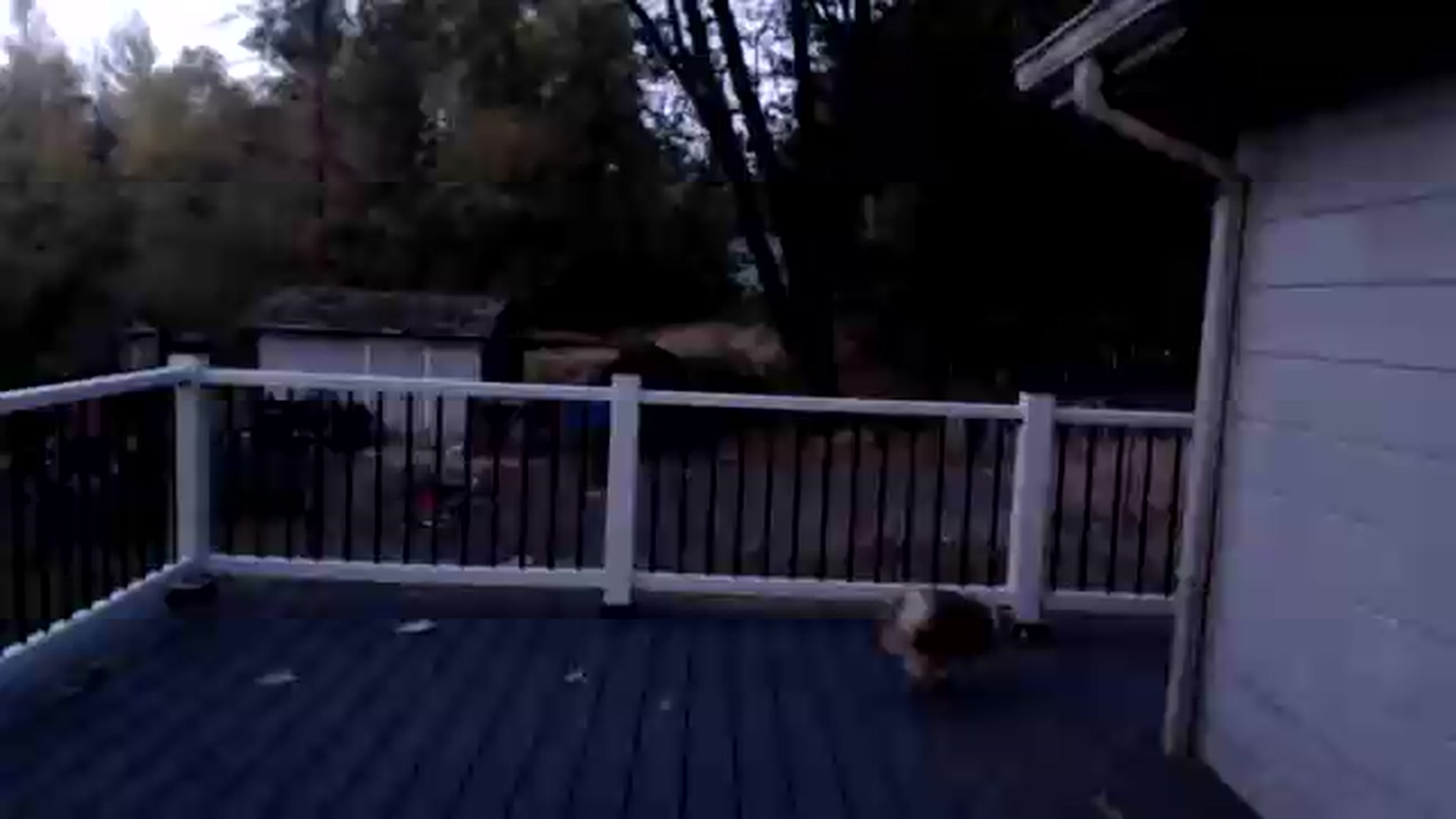 Gallery image thumbnail from PeachyMeow's myfreecams stream on, 09/07/2026, 03:01 image 20 of 20