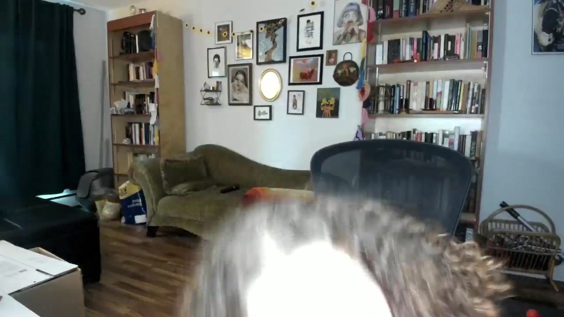 Gallery image thumbnail from PeachyQueen_'s myfreecams stream on, 10/04/2024, 20:36 image 8 of 20