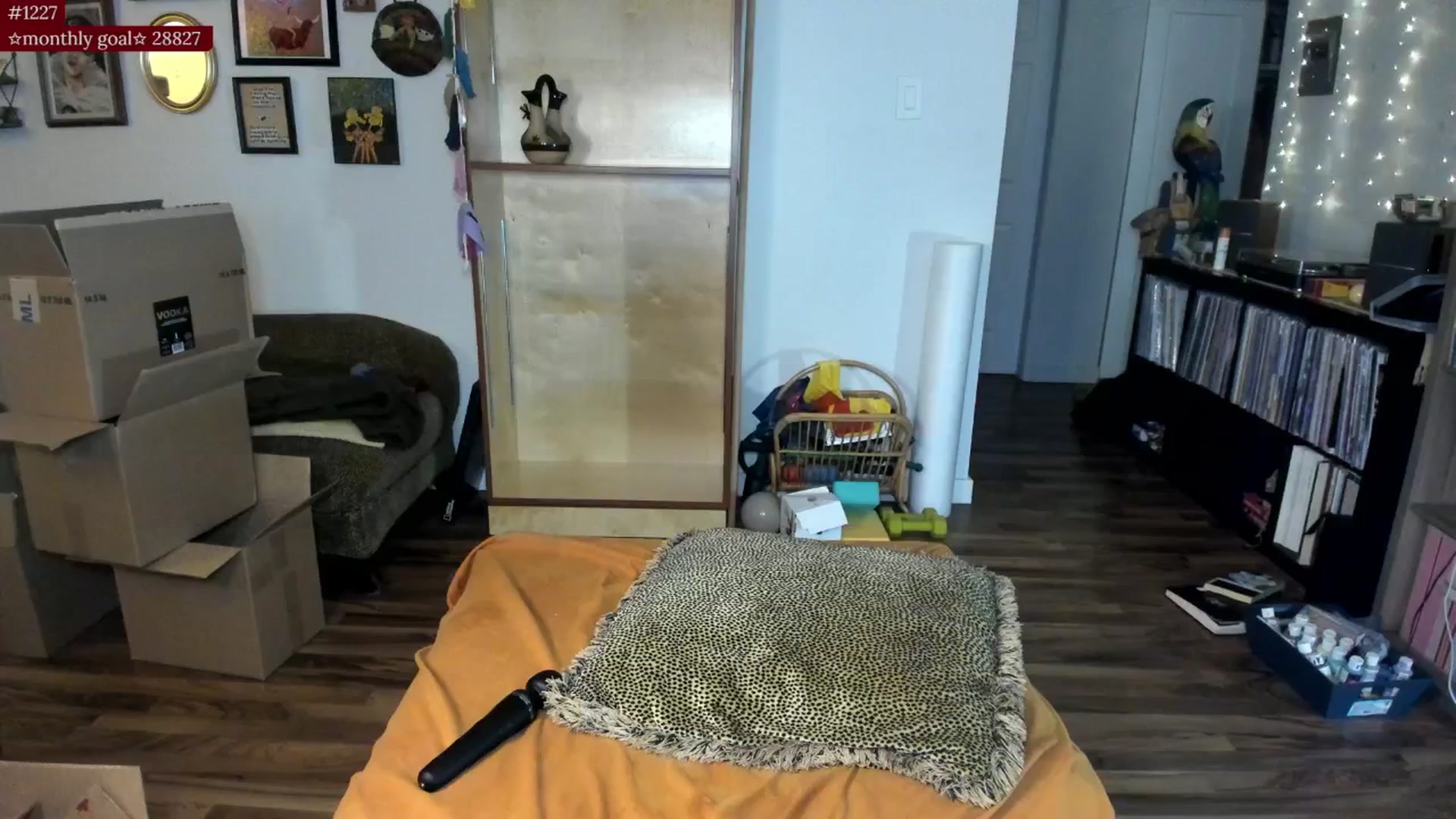 Gallery image thumbnail from PeachyQueen_'s myfreecams stream on, 09/15/2025, 05:12 image 1 of 20