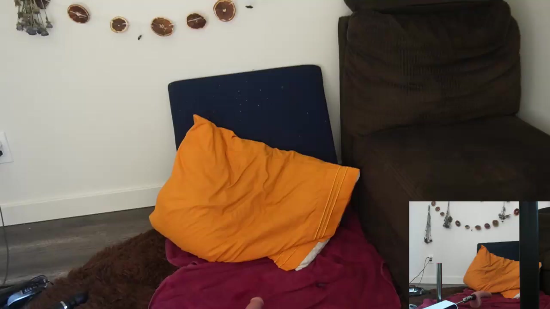 Gallery image thumbnail from PeachyQueen_'s myfreecams stream on, 06/25/2026, 20:04 image 15 of 20
