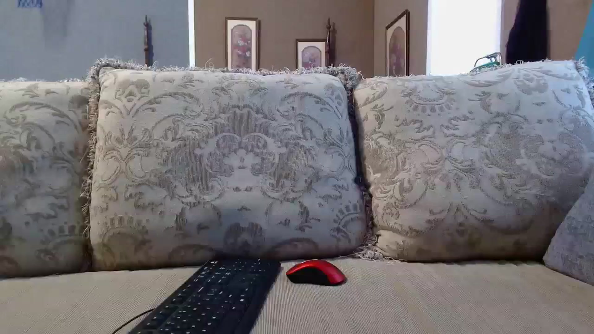 Gallery image thumbnail from PearlAsia's myfreecams stream on, 02/20/2024, 20:23 image 16 of 20