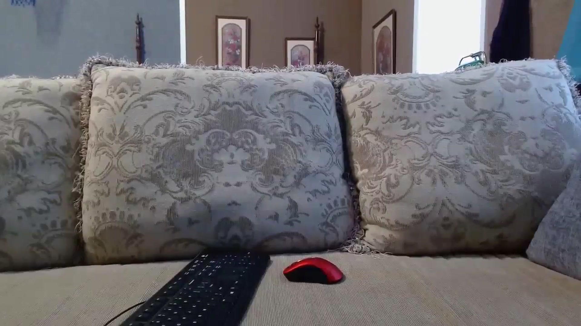 Gallery image thumbnail from PearlAsia's myfreecams stream on, 02/20/2024, 20:23 image 14 of 20