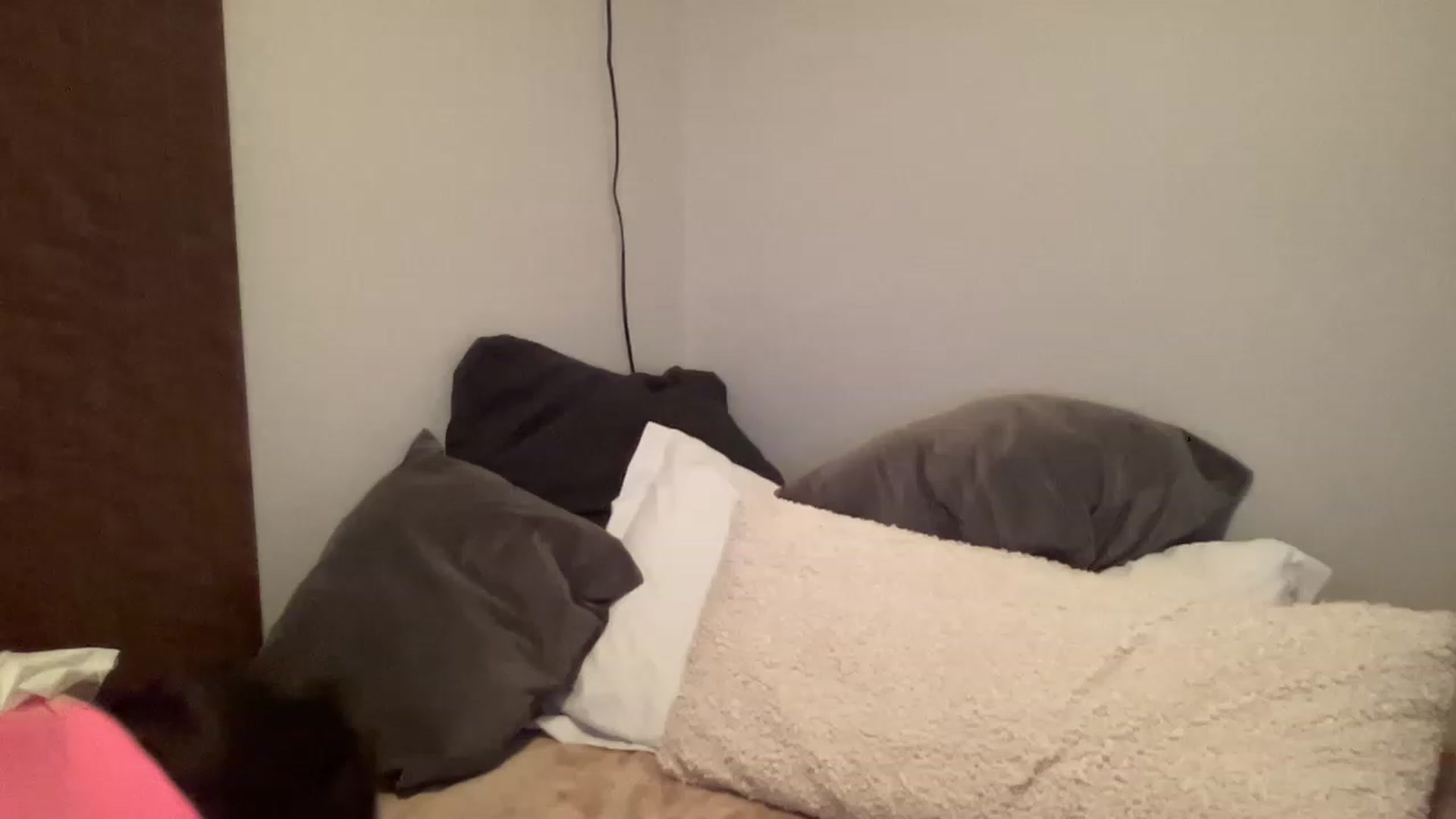 Gallery image thumbnail from PennieGold's myfreecams stream on, 12/27/2022, 23:34 image 12 of 20