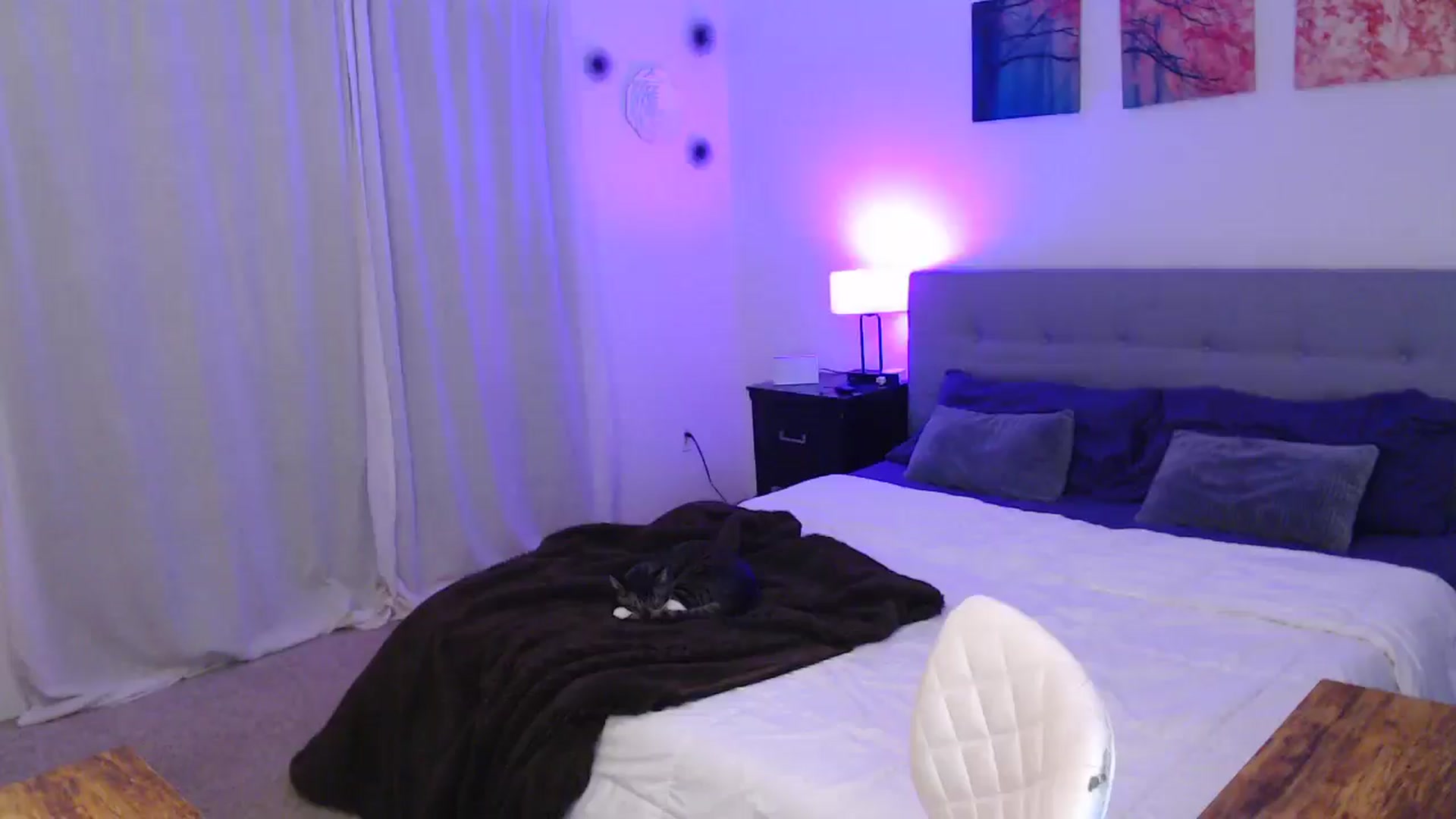 Gallery image thumbnail from PerfectMeadow's myfreecams stream on, 01/01/2026, 04:29 image 2 of 20