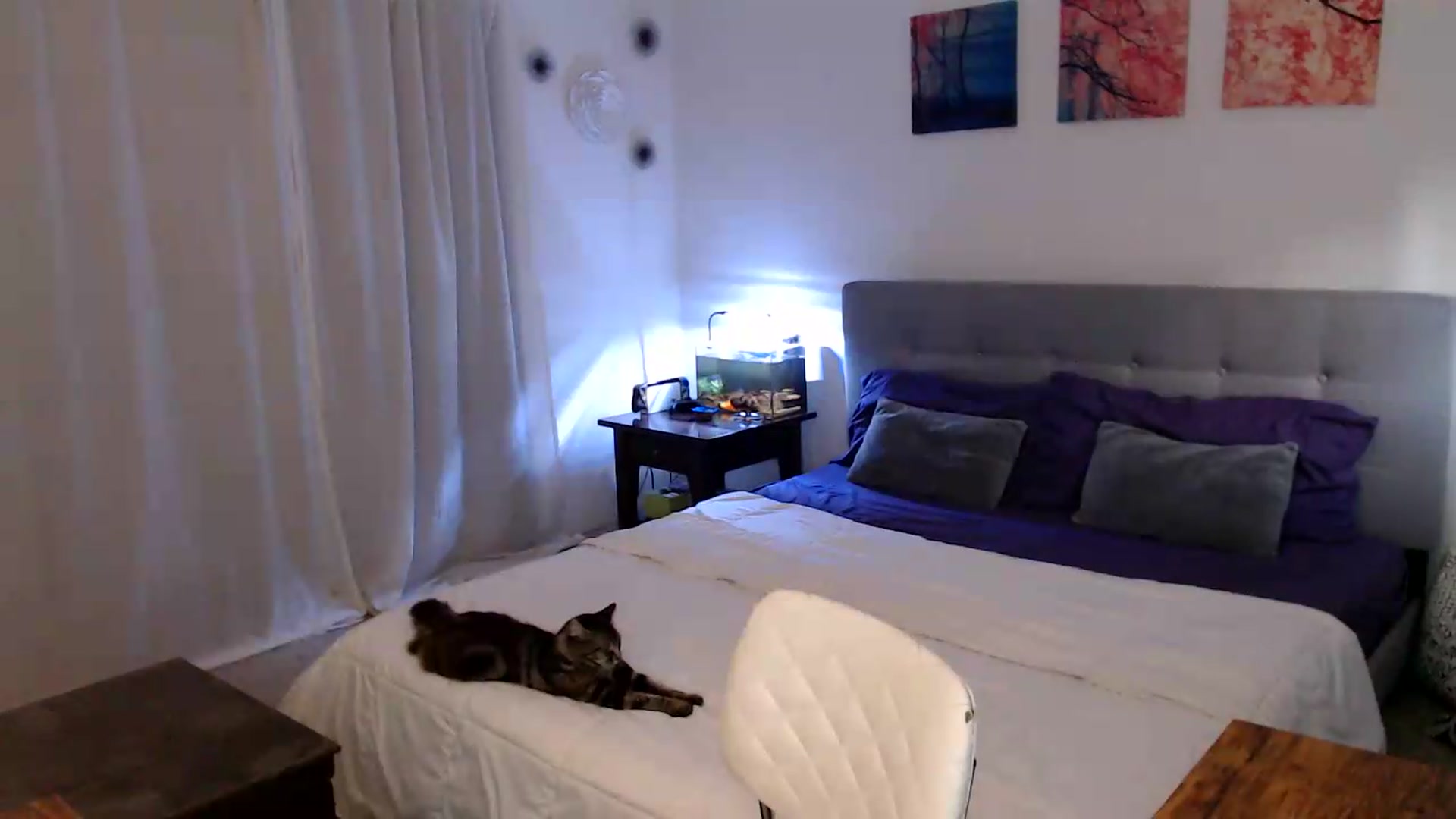 Gallery image thumbnail from PerfectMeadow's myfreecams stream on, 08/16/2026, 02:37 image 7 of 20