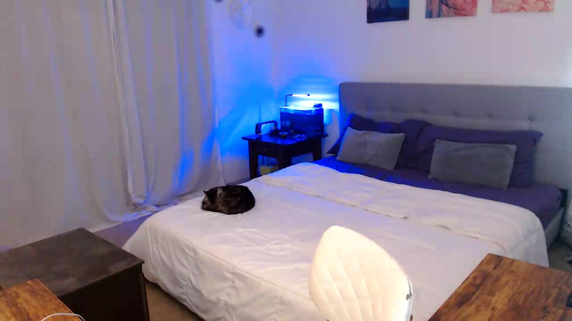 Gallery image thumbnail from PerfectMeadow's myfreecams stream on, 08/17/2026, 24:32 image 5 of 20