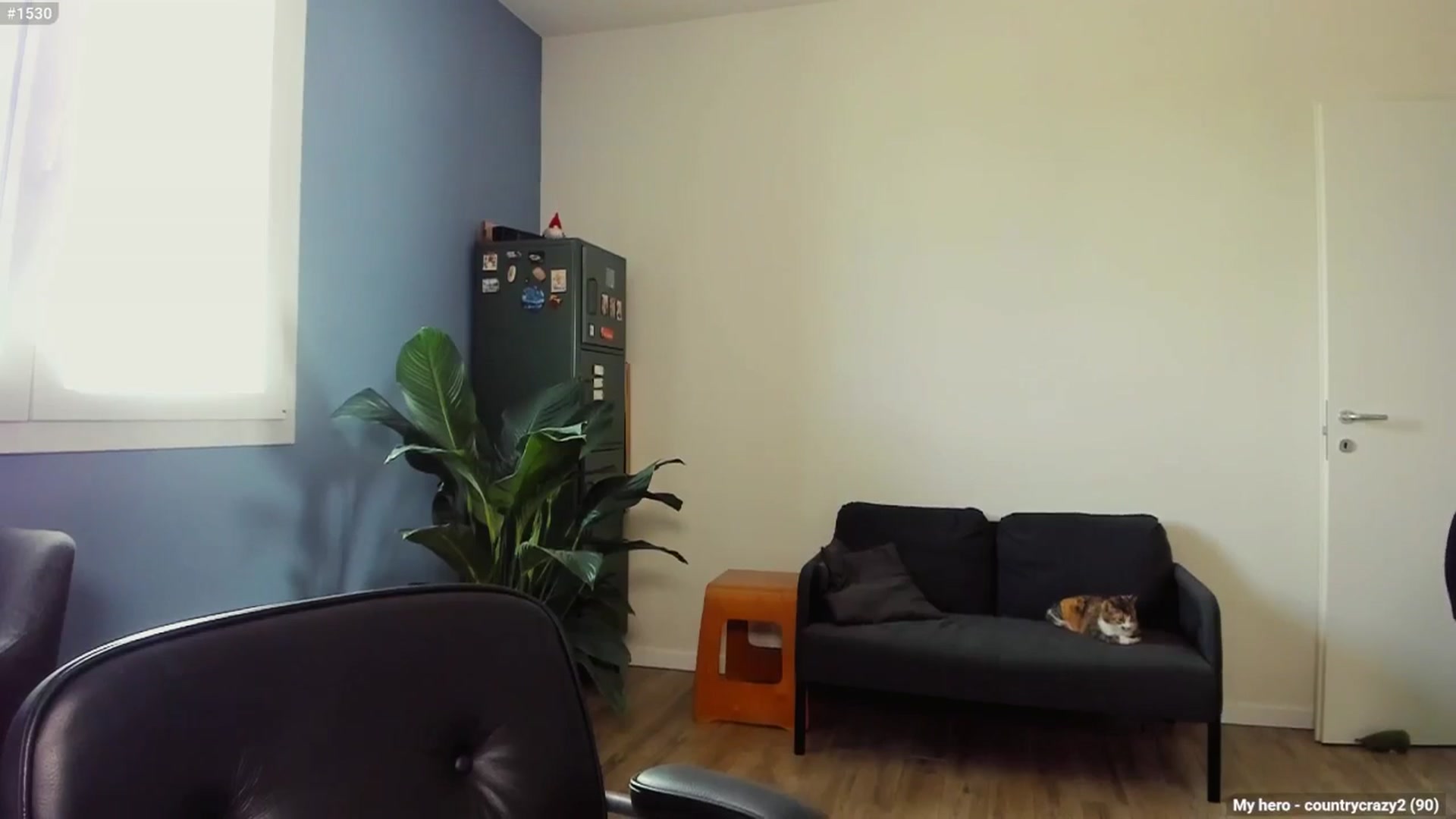 Gallery image thumbnail from Personage's myfreecams stream on, 05/06/2025, 14:00 image 12 of 20