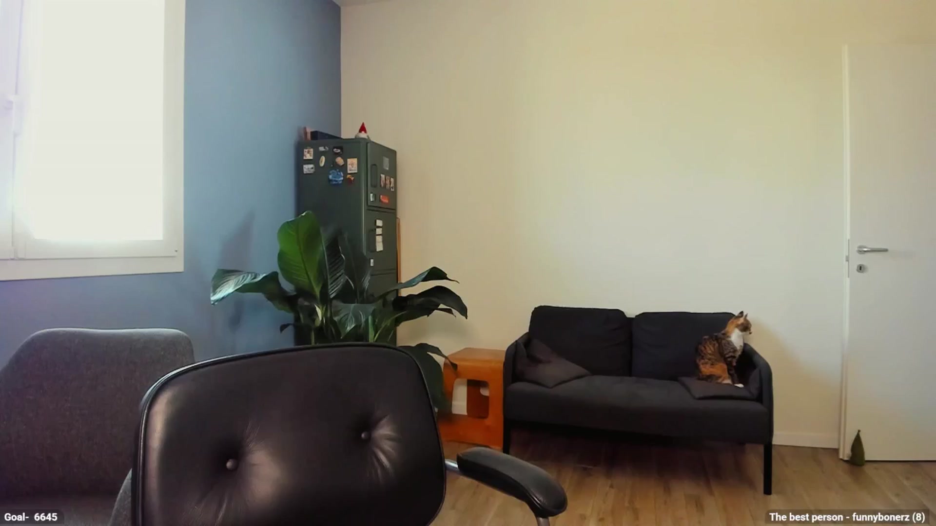 Gallery image thumbnail from Personage's myfreecams stream on, 05/30/2025, 12:53 image 13 of 20