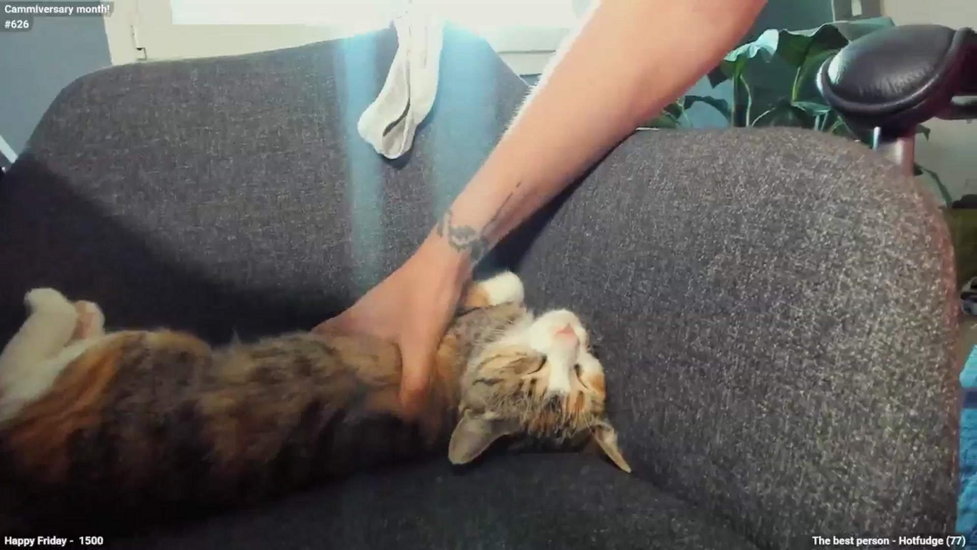 Gallery image thumbnail from Personage's myfreecams stream on, 07/25/2025, 15:28 image 16 of 20