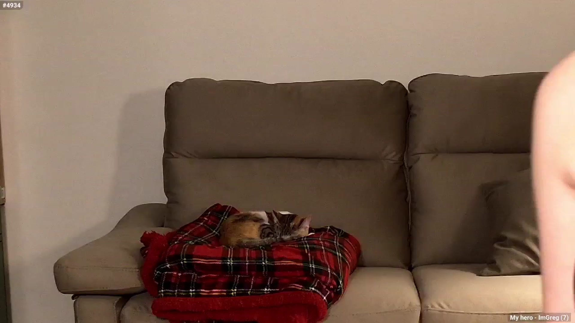Gallery image thumbnail from Personage's myfreecams stream on, 01/14/2026, 14:06 image 12 of 20