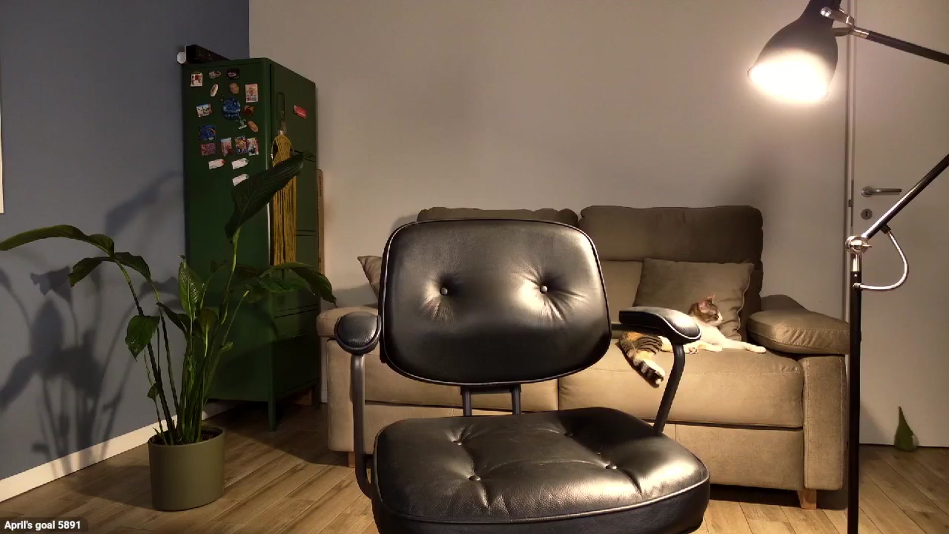 Gallery image thumbnail from Personage's myfreecams stream on, 04/30/2026, 21:46 image 7 of 20