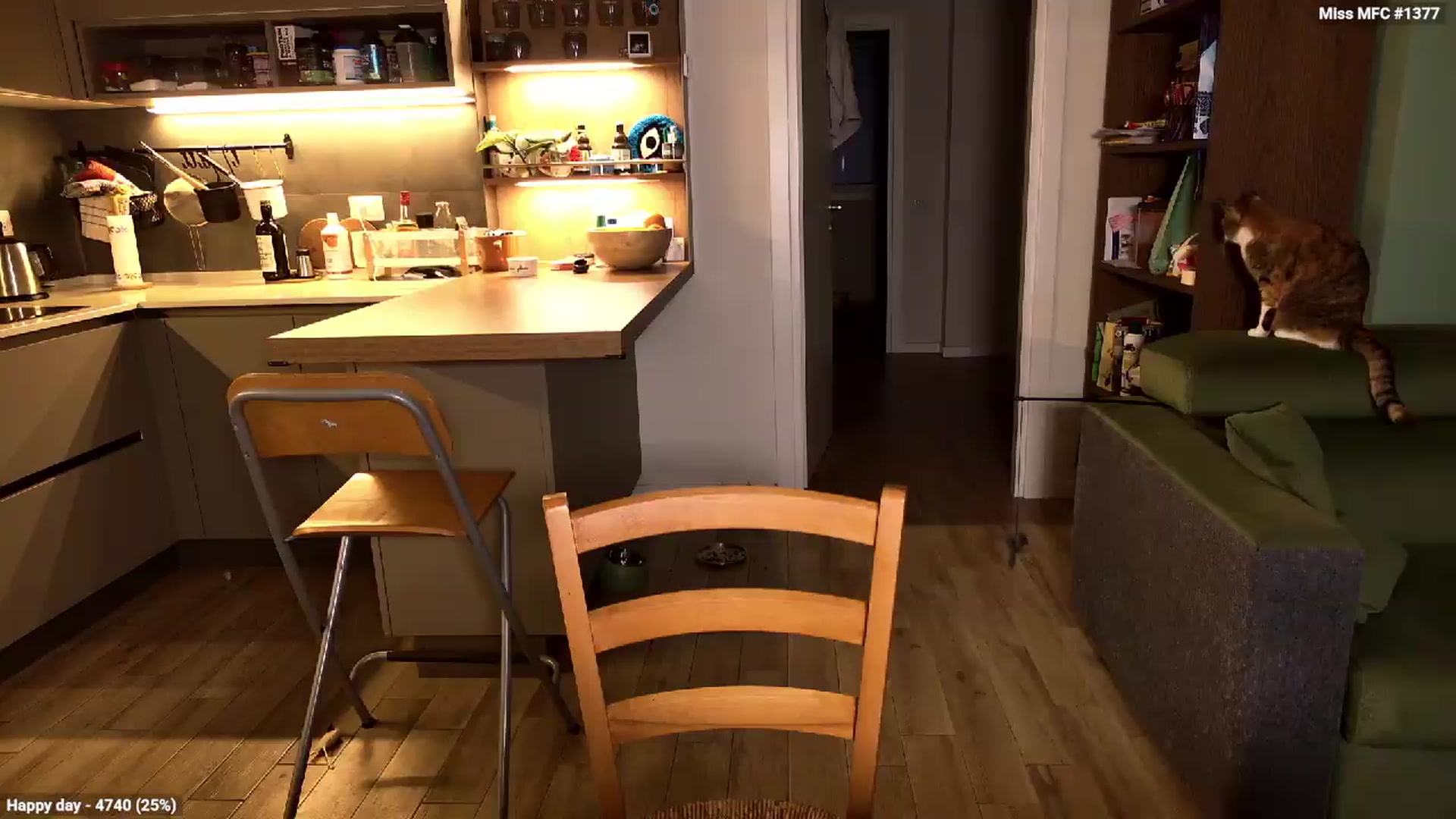 Gallery image thumbnail from Personage's myfreecams stream on, 05/14/2026, 20:53 image 8 of 20