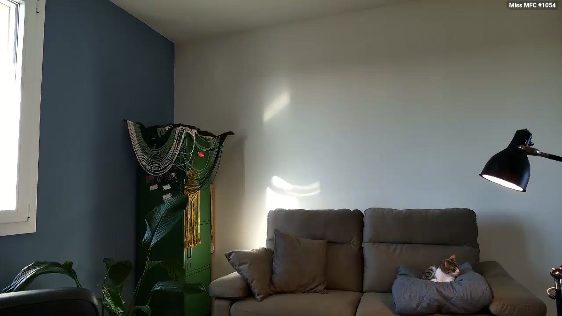 Gallery image thumbnail from Personage's myfreecams stream on, 05/18/2026, 07:19 image 9 of 20