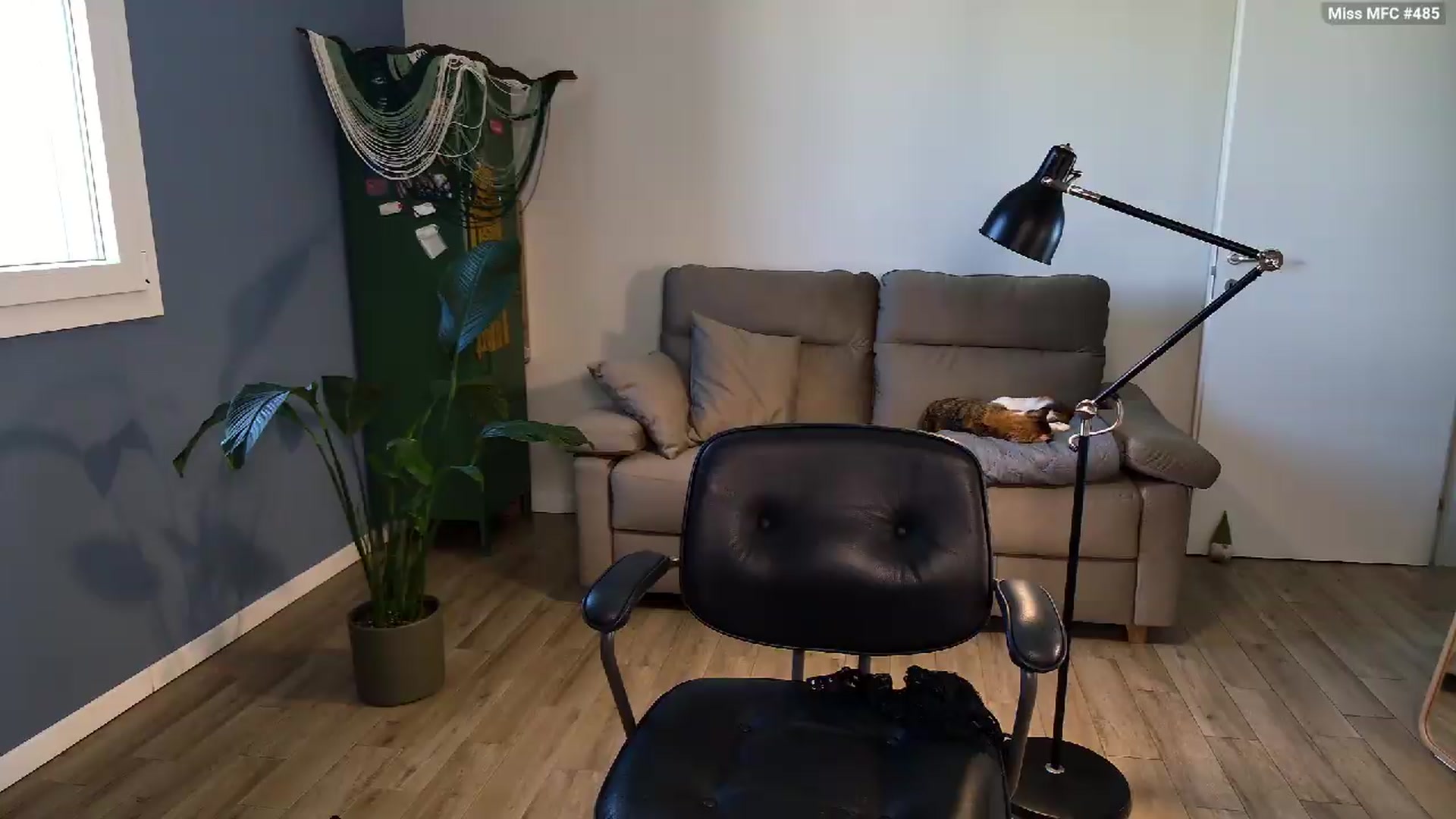 Gallery image thumbnail from Personage's myfreecams stream on, 05/18/2026, 15:18 image 18 of 20