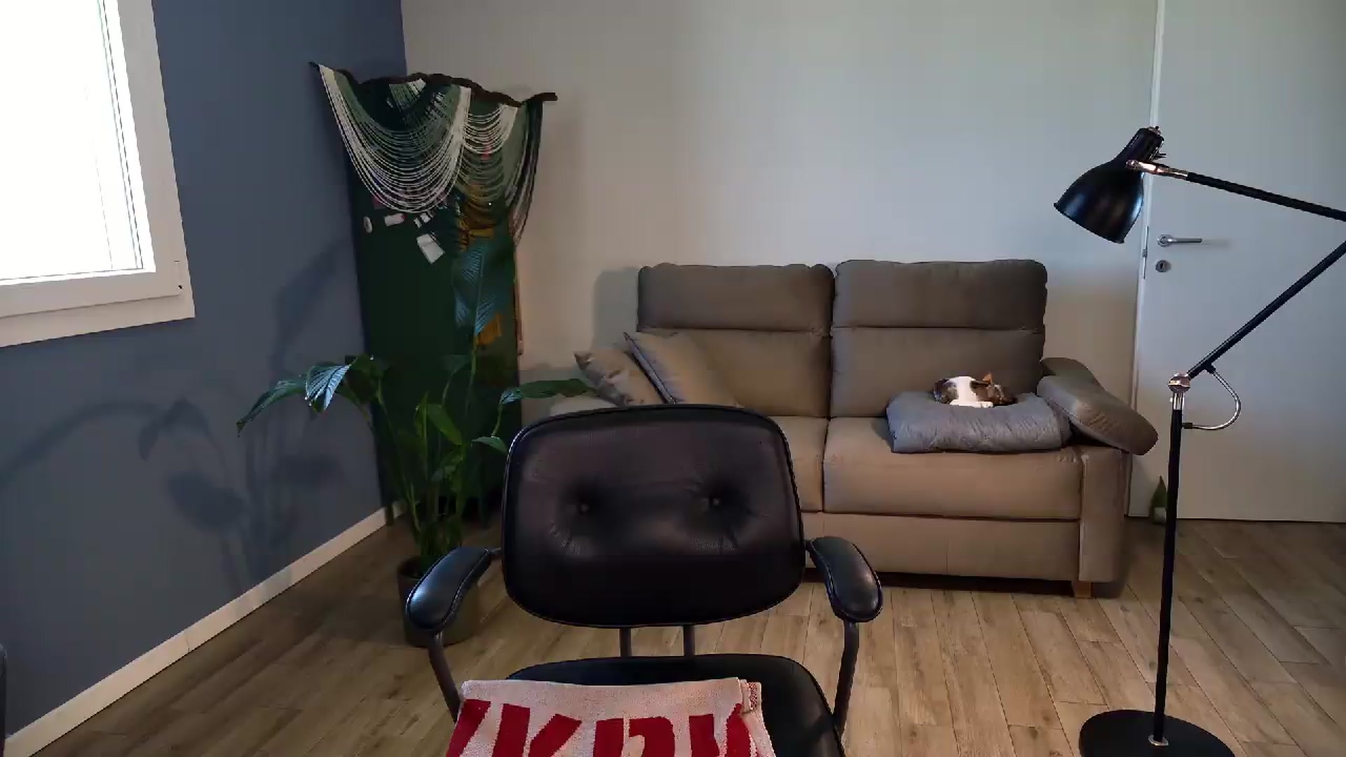 Gallery image thumbnail from Personage's myfreecams stream on, 05/25/2026, 14:16 image 13 of 20
