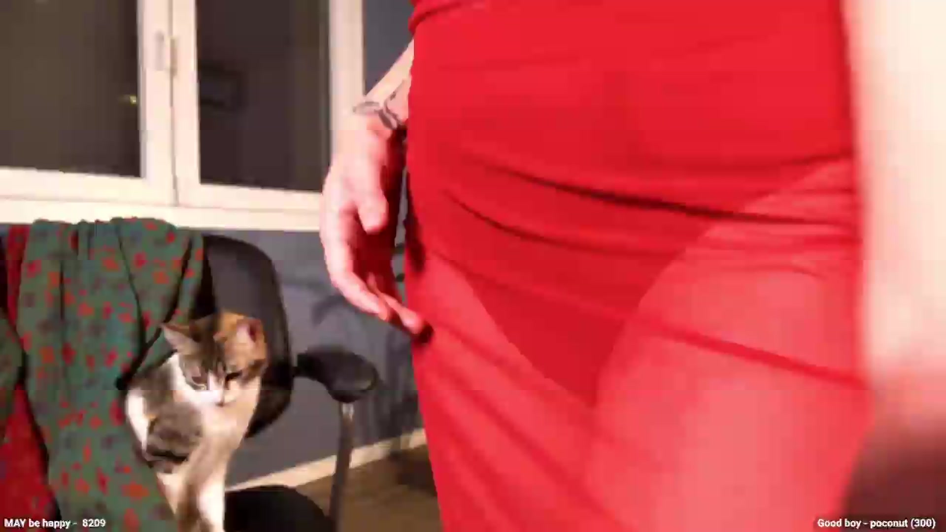 Gallery image thumbnail from Personage's myfreecams stream on, 05/29/2026, 19:55 image 14 of 20