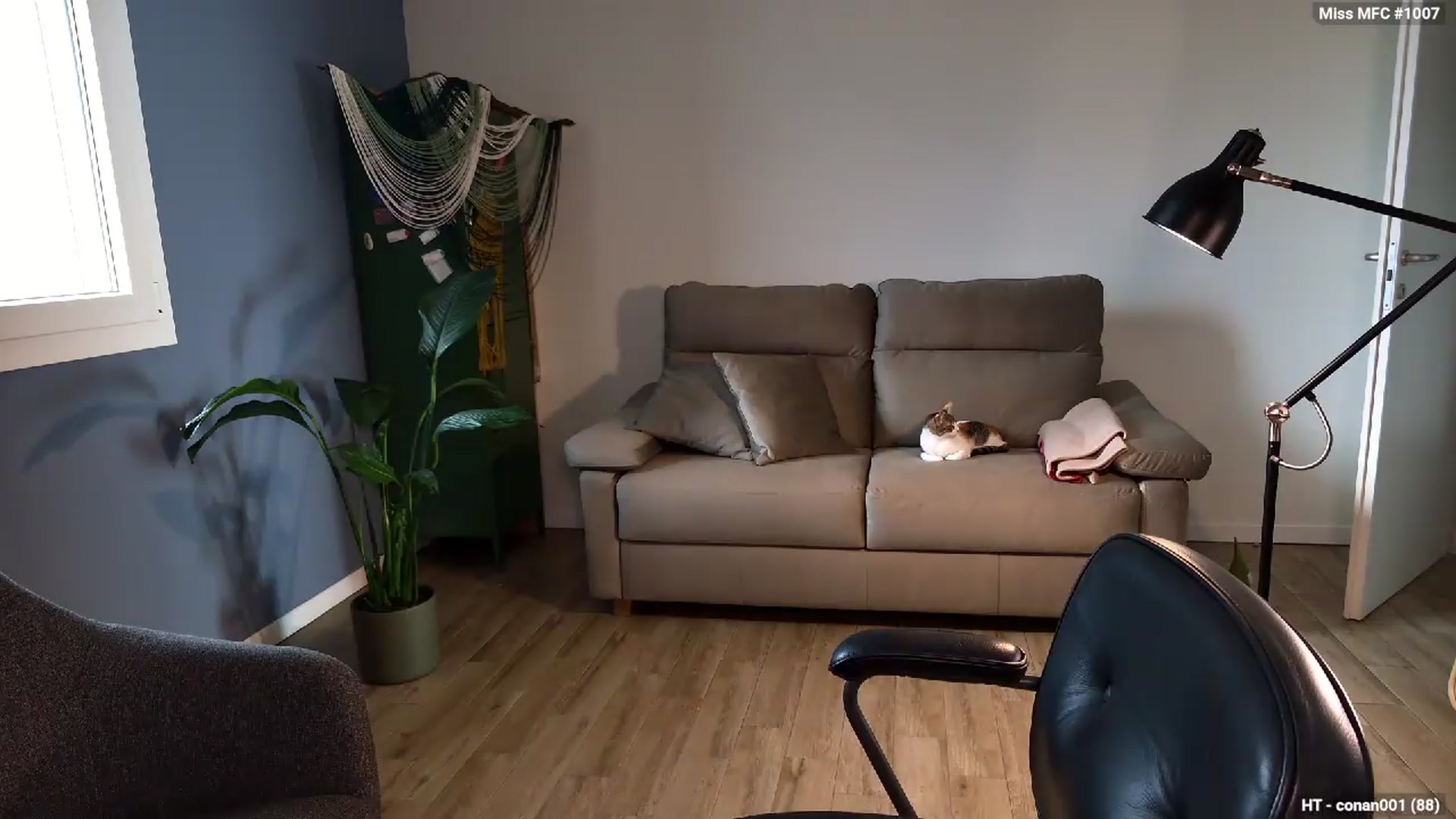 Gallery image thumbnail from Personage's myfreecams stream on, 06/05/2026, 07:11 image 18 of 20
