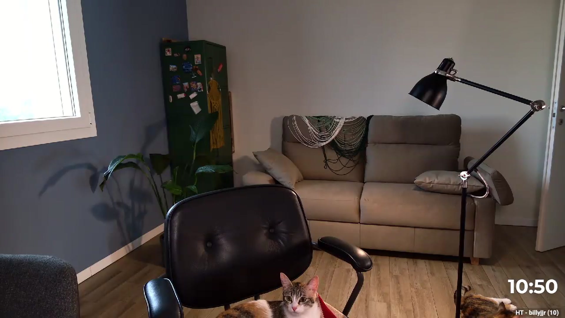Gallery image thumbnail from Personage's myfreecams stream on, 06/11/2026, 06:27 image 16 of 20