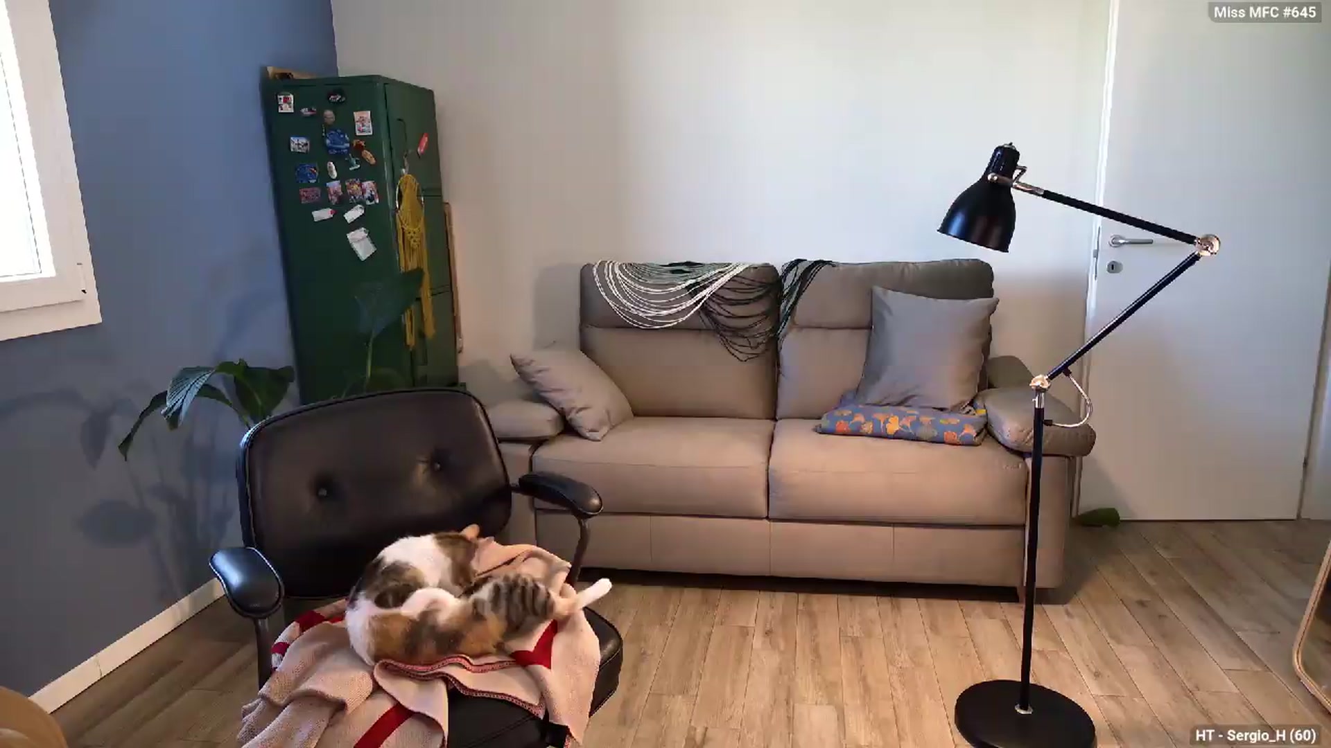 Gallery image thumbnail from Personage's myfreecams stream on, 06/19/2026, 15:32 image 5 of 20