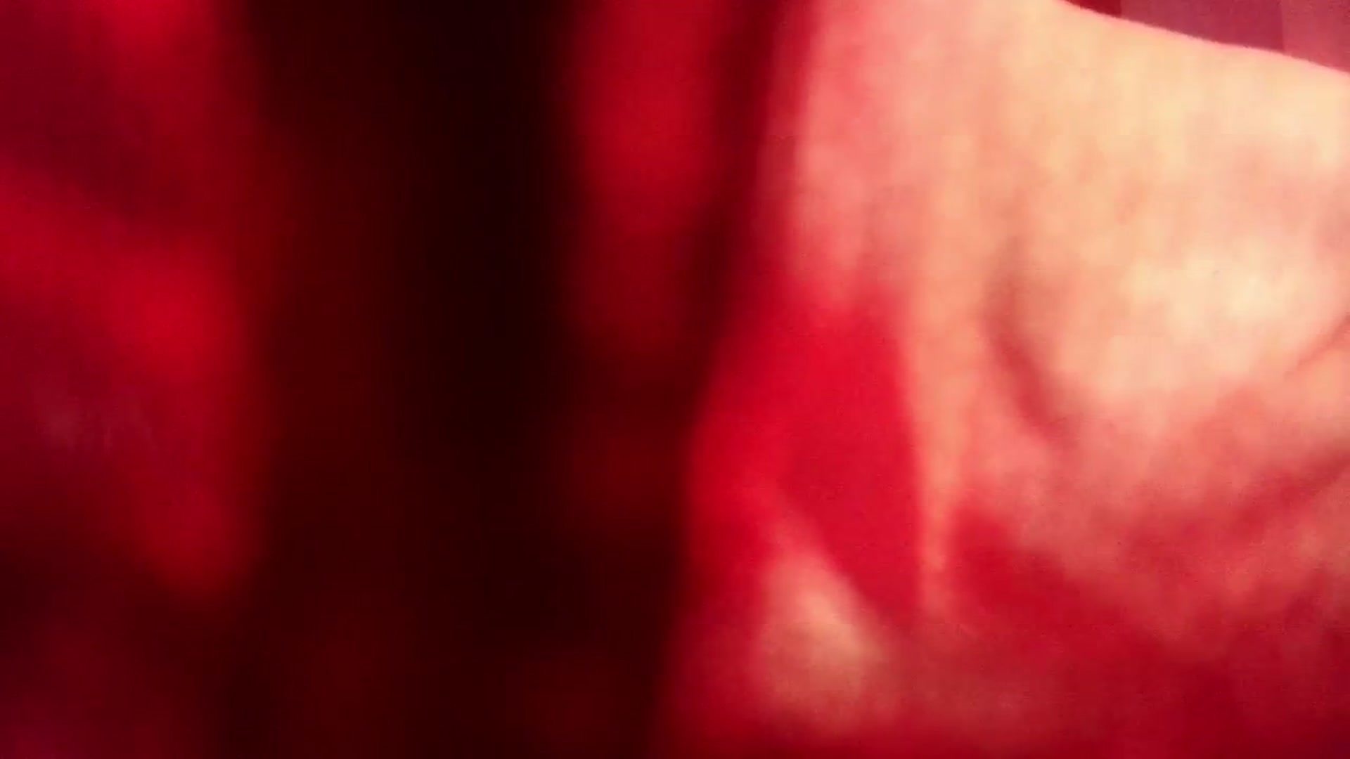 Gallery image thumbnail from Petal___'s myfreecams stream on, 02/09/2026, 17:16 image 15 of 20