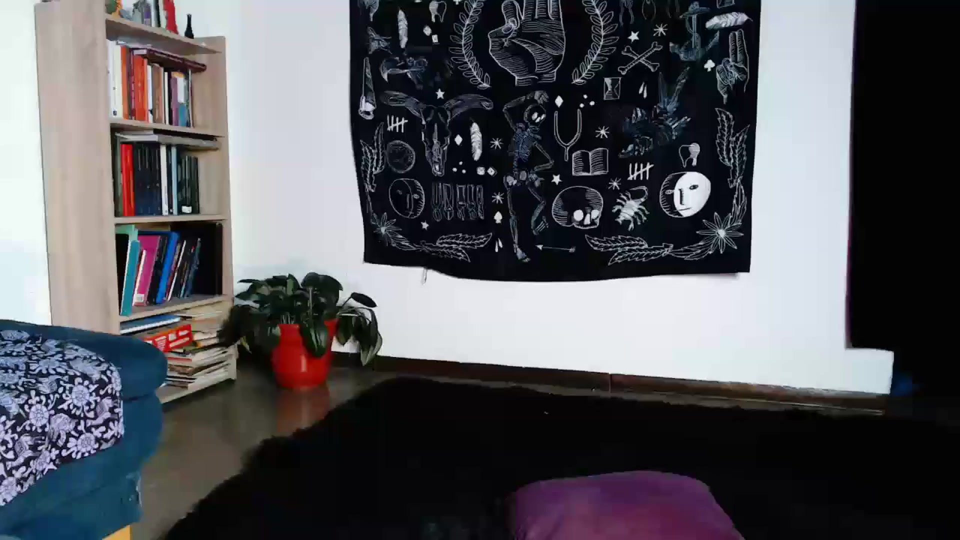 Gallery image thumbnail from Petit_Haze's myfreecams stream on, 10/18/2024, 23:12 image 3 of 20