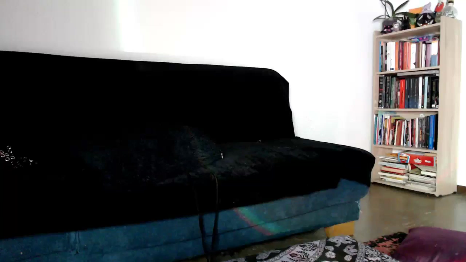 Gallery image thumbnail from Petit_Haze's myfreecams stream on, 04/16/2025, 01:16 image 20 of 20