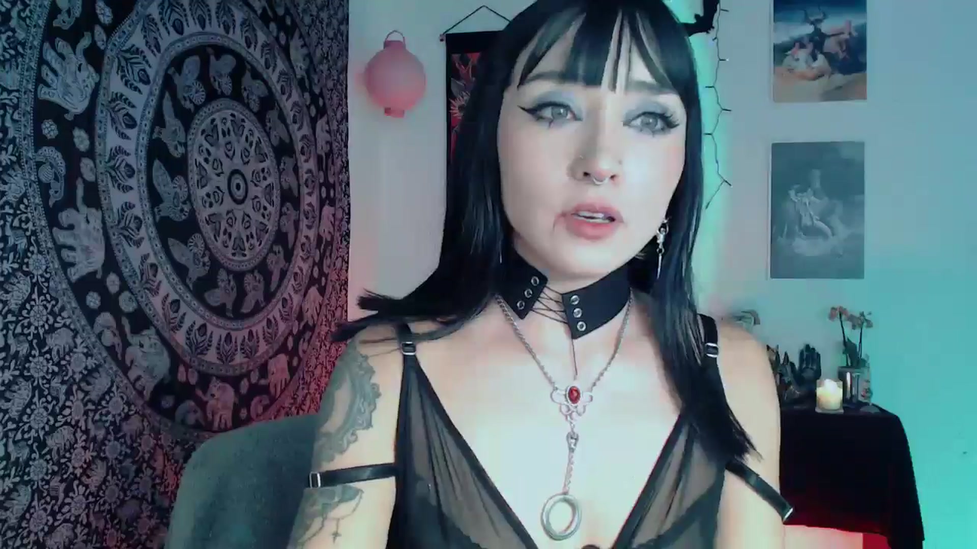 Gallery image thumbnail from Petit_Haze's myfreecams stream on, 10/12/2025, 04:12 image 18 of 20