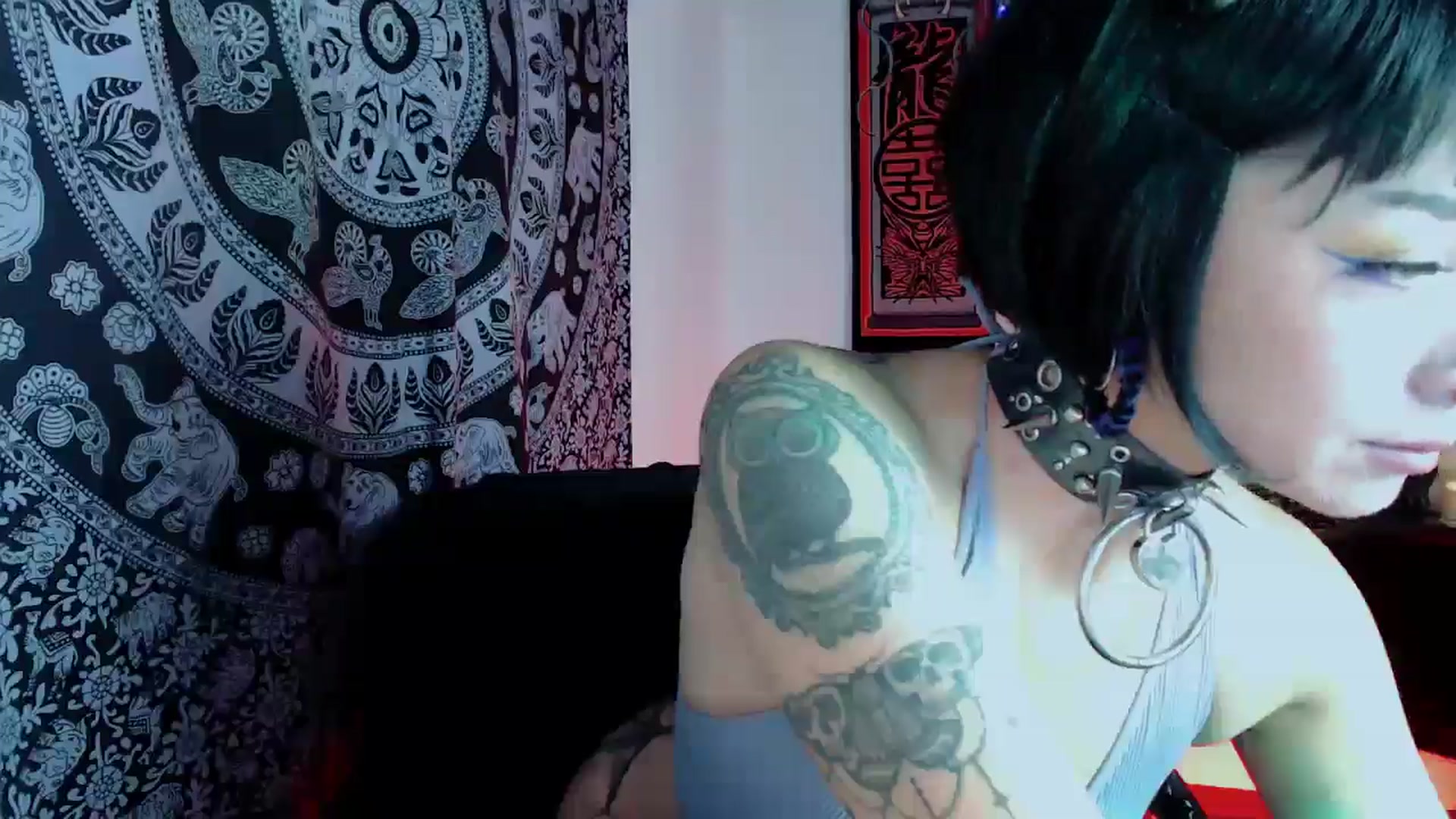 Gallery image thumbnail from Petit_Haze's myfreecams stream on, 10/23/2025, 03:17 image 14 of 20