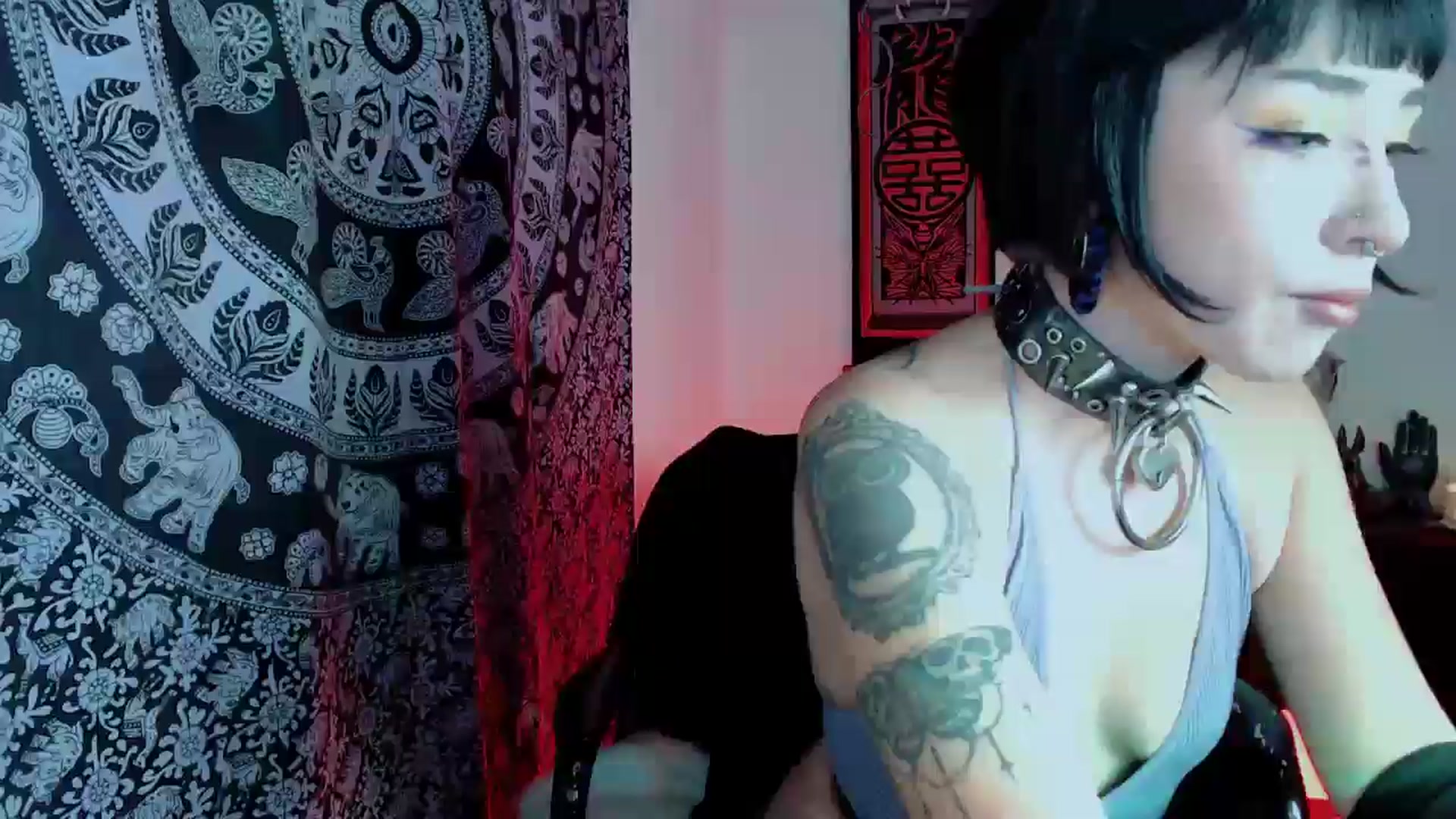 Gallery image thumbnail from Petit_Haze's myfreecams stream on, 10/23/2025, 03:31 image 1 of 20