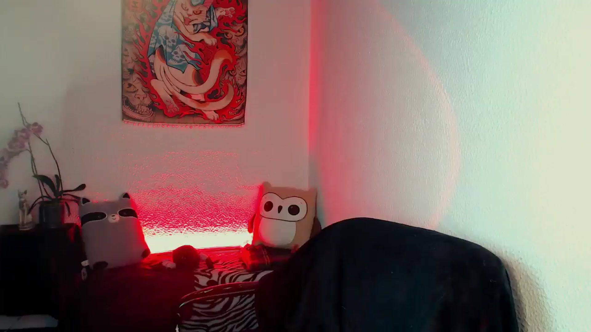 Gallery image thumbnail from Petit_Haze's myfreecams stream on, 01/31/2026, 05:30 image 5 of 20