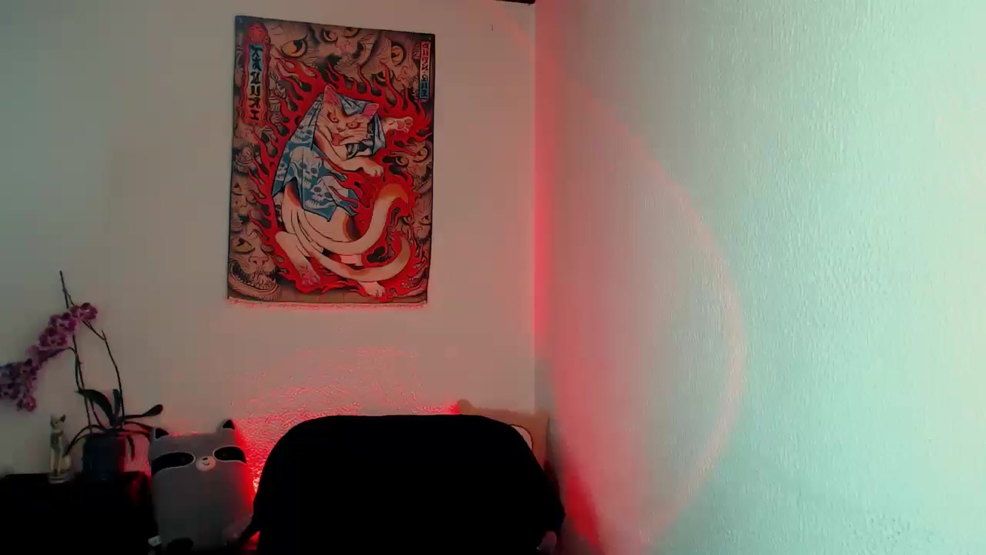 Gallery image thumbnail from Petit_Haze's myfreecams stream on, 01/31/2026, 07:46 image 20 of 20