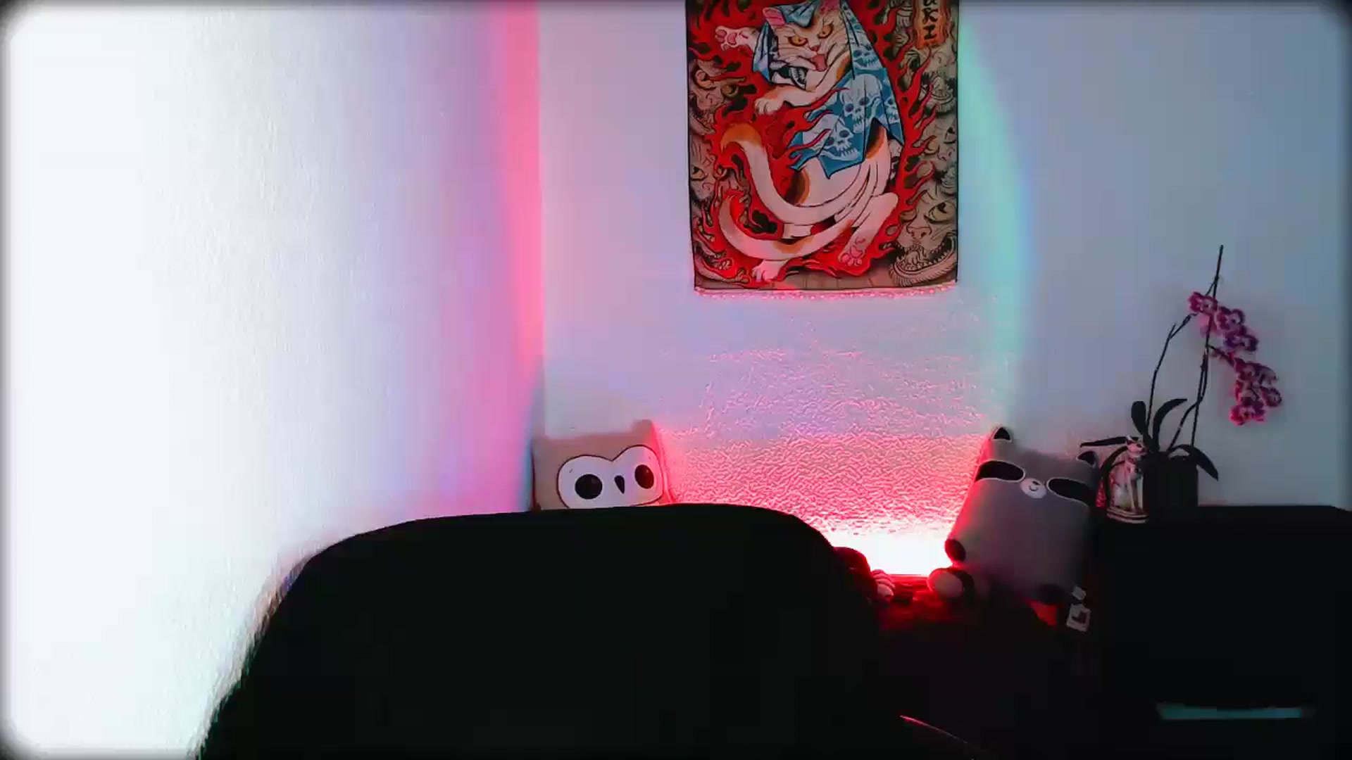 Gallery image thumbnail from Petit_Haze's myfreecams stream on, 02/07/2026, 07:06 image 9 of 20