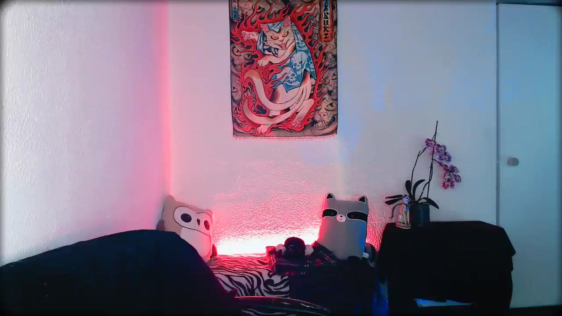 Gallery image thumbnail from Petit_Haze's myfreecams stream on, 02/14/2026, 03:15 image 14 of 20