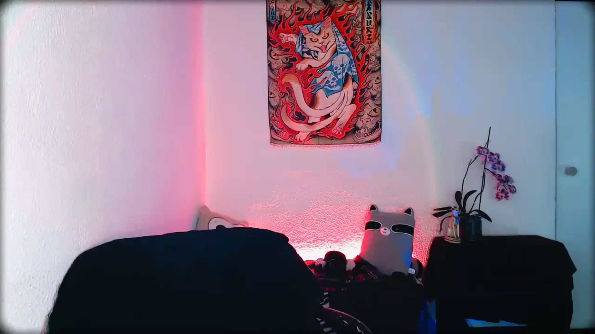 Gallery image thumbnail from Petit_Haze's myfreecams stream on, 02/14/2026, 03:15 image 20 of 20