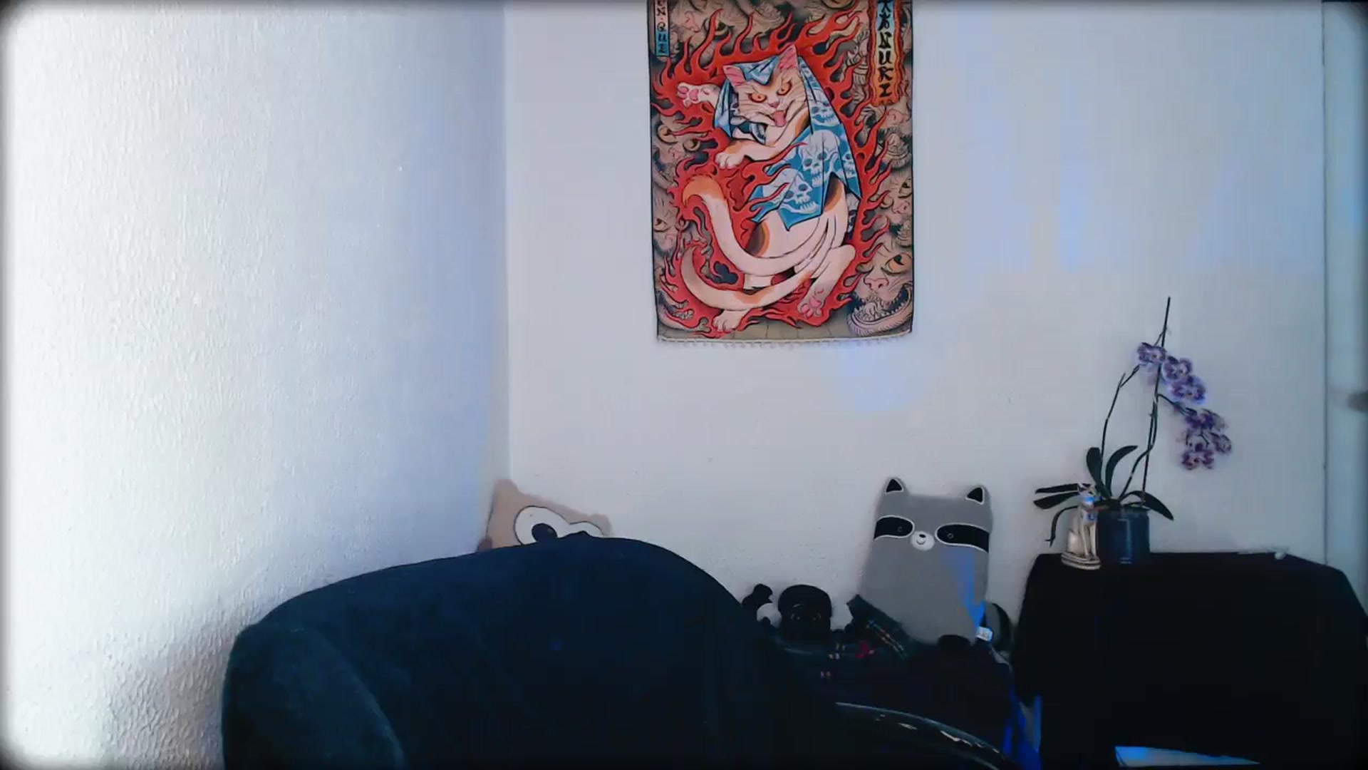 Gallery image thumbnail from Petit_Haze's myfreecams stream on, 02/14/2026, 04:39 image 19 of 20