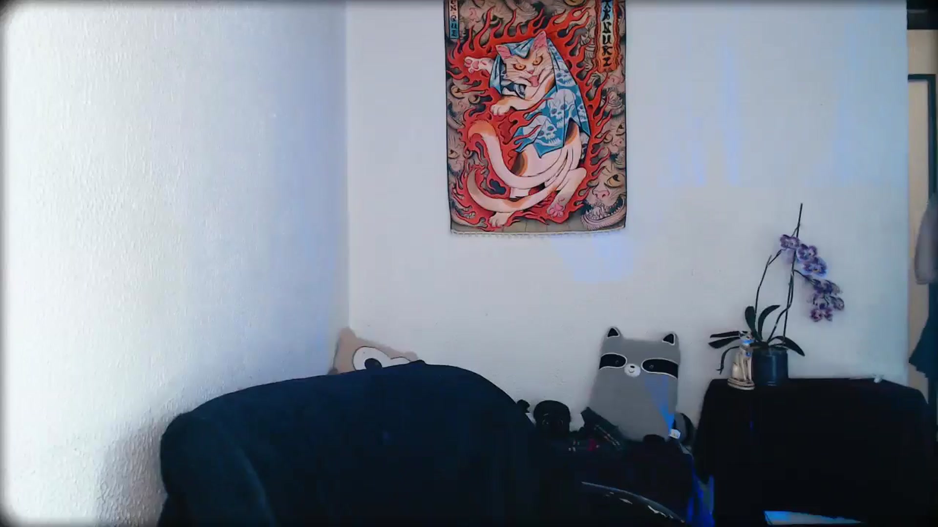 Gallery image thumbnail from Petit_Haze's myfreecams stream on, 02/14/2026, 04:39 image 20 of 20