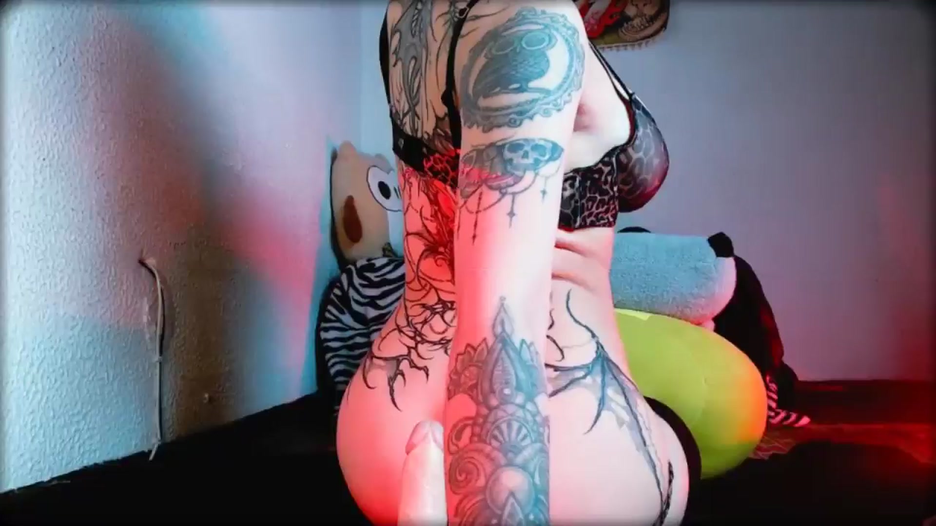 Gallery image thumbnail from Petit_Haze's myfreecams stream on, 02/21/2026, 24:11 image 13 of 20