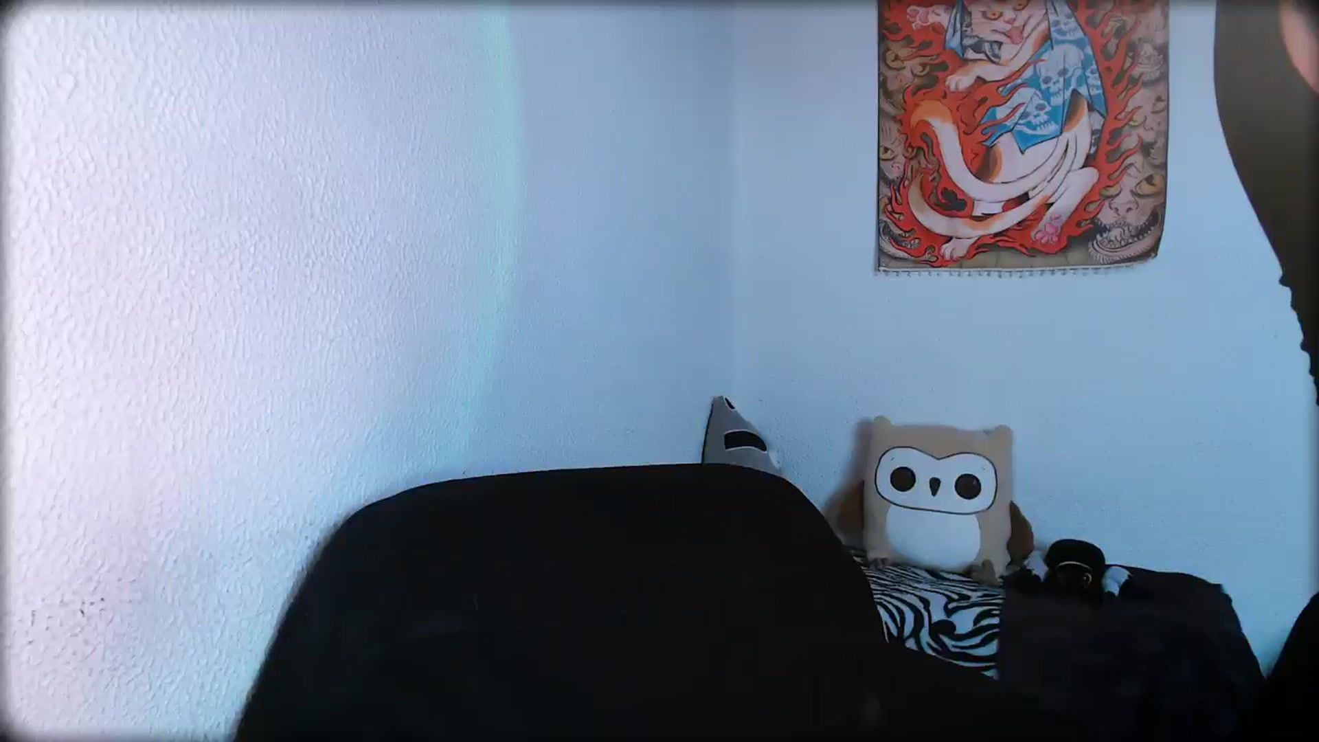 Gallery image thumbnail from Petit_Haze's myfreecams stream on, 02/25/2026, 23:10 image 1 of 20
