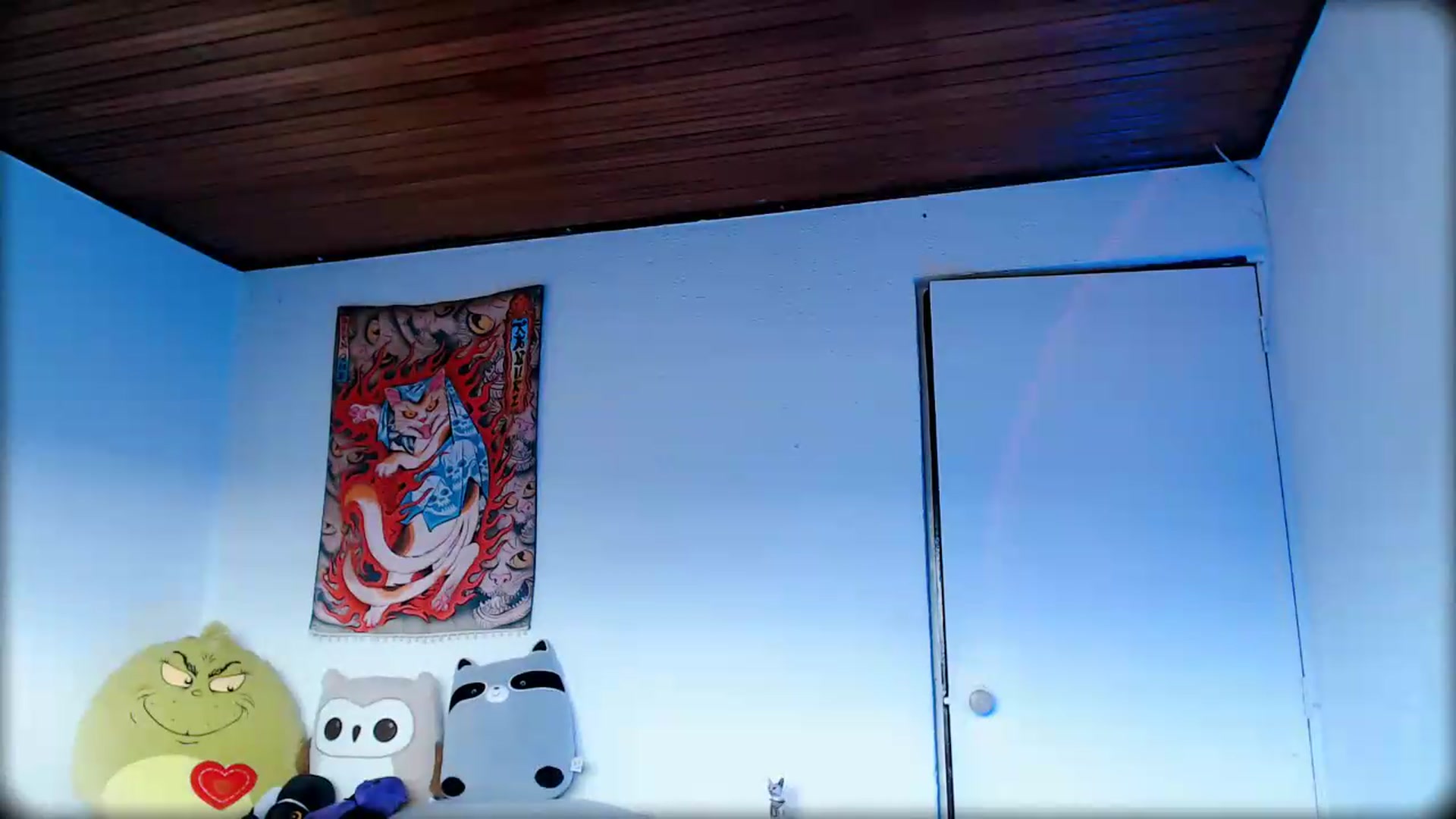 Gallery image thumbnail from Petit_Haze's myfreecams stream on, 05/28/2026, 22:07 image 19 of 20