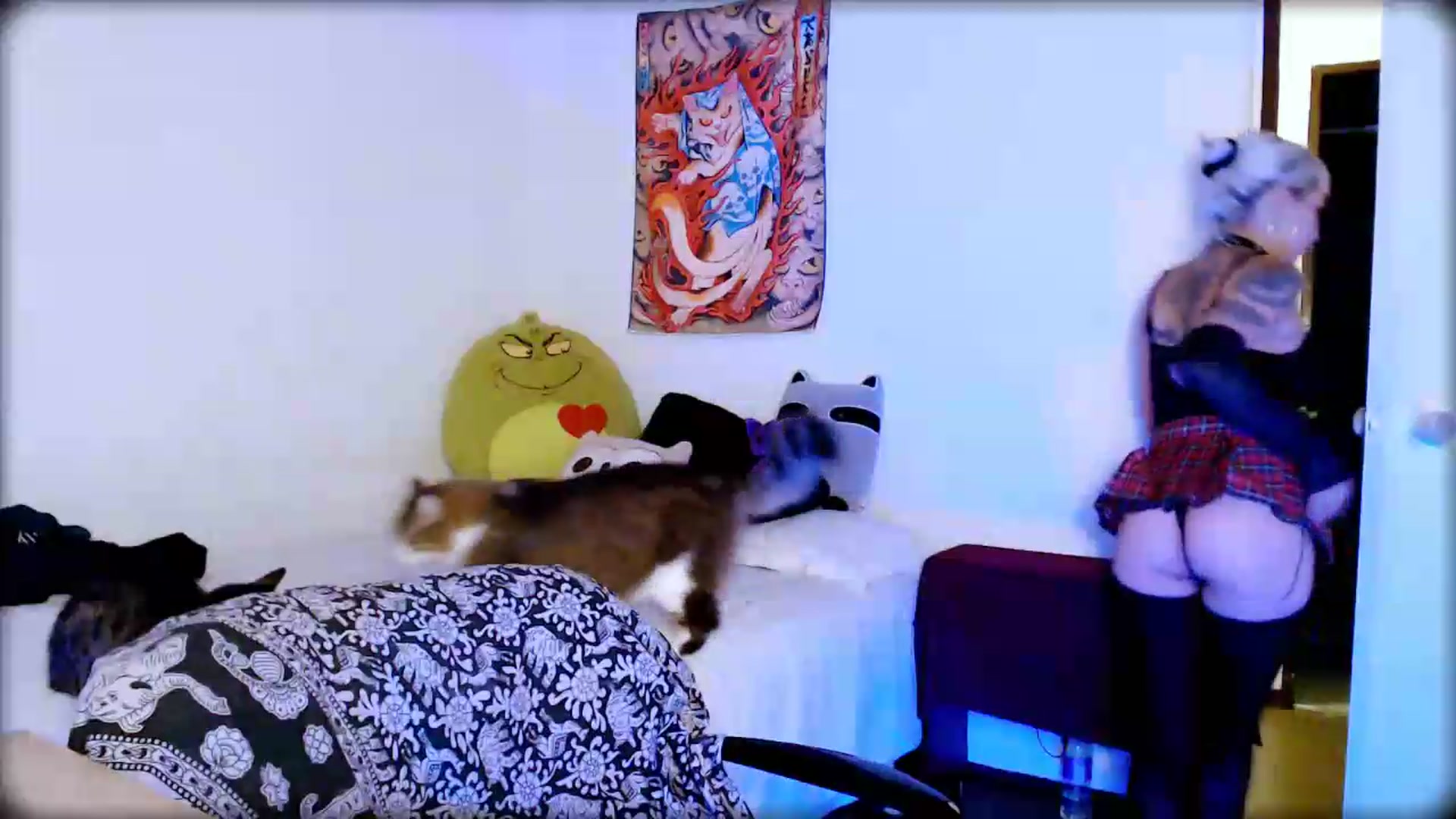Gallery image thumbnail from Petit_Haze's myfreecams stream on, 07/05/2026, 06:02 image 14 of 20