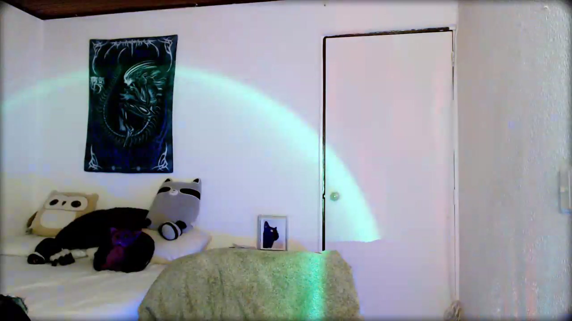 Gallery image thumbnail from Petit_Haze's myfreecams stream on, 08/15/2026, 06:24 image 4 of 20