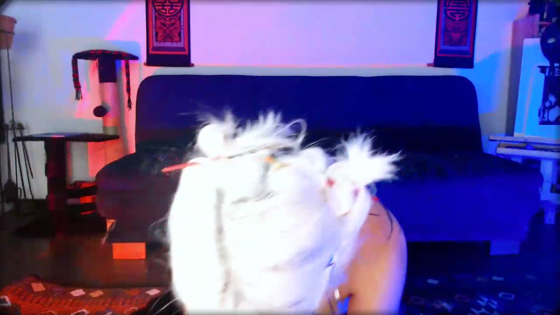 Gallery image thumbnail from Petit_Haze's myfreecams stream on, 08/30/2026, 11:21 image 8 of 20