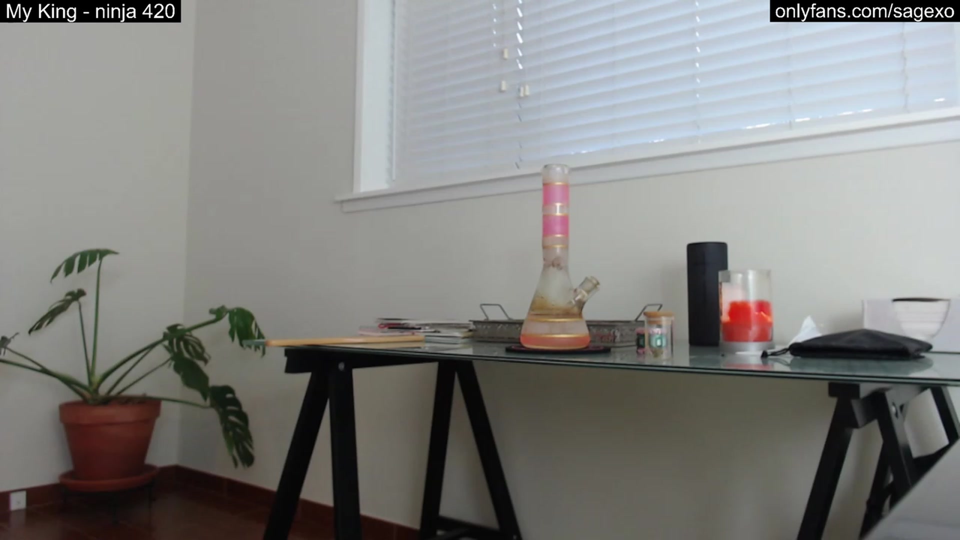 Gallery image thumbnail from PetiteSage's myfreecams stream on, 03/07/2023, 01:57 image 17 of 20