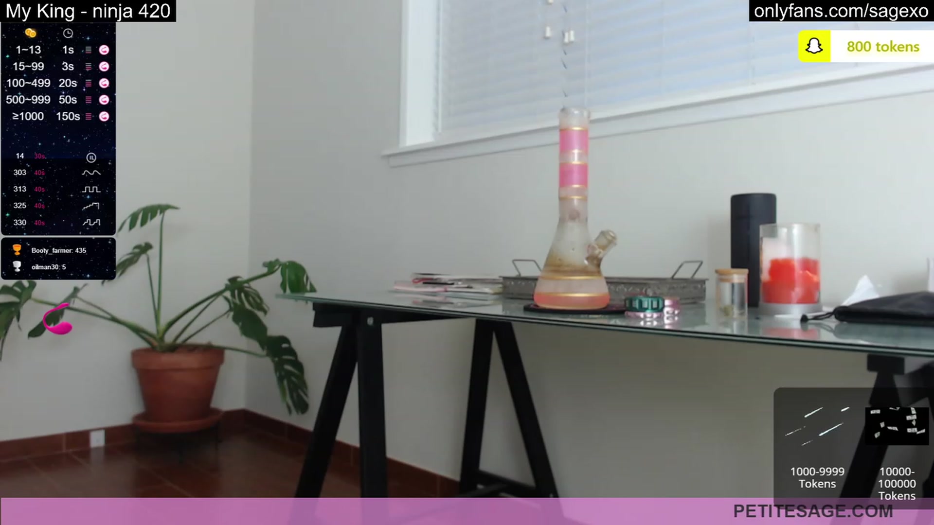 Gallery image thumbnail from PetiteSage's myfreecams stream on, 03/07/2023, 02:22 image 6 of 20