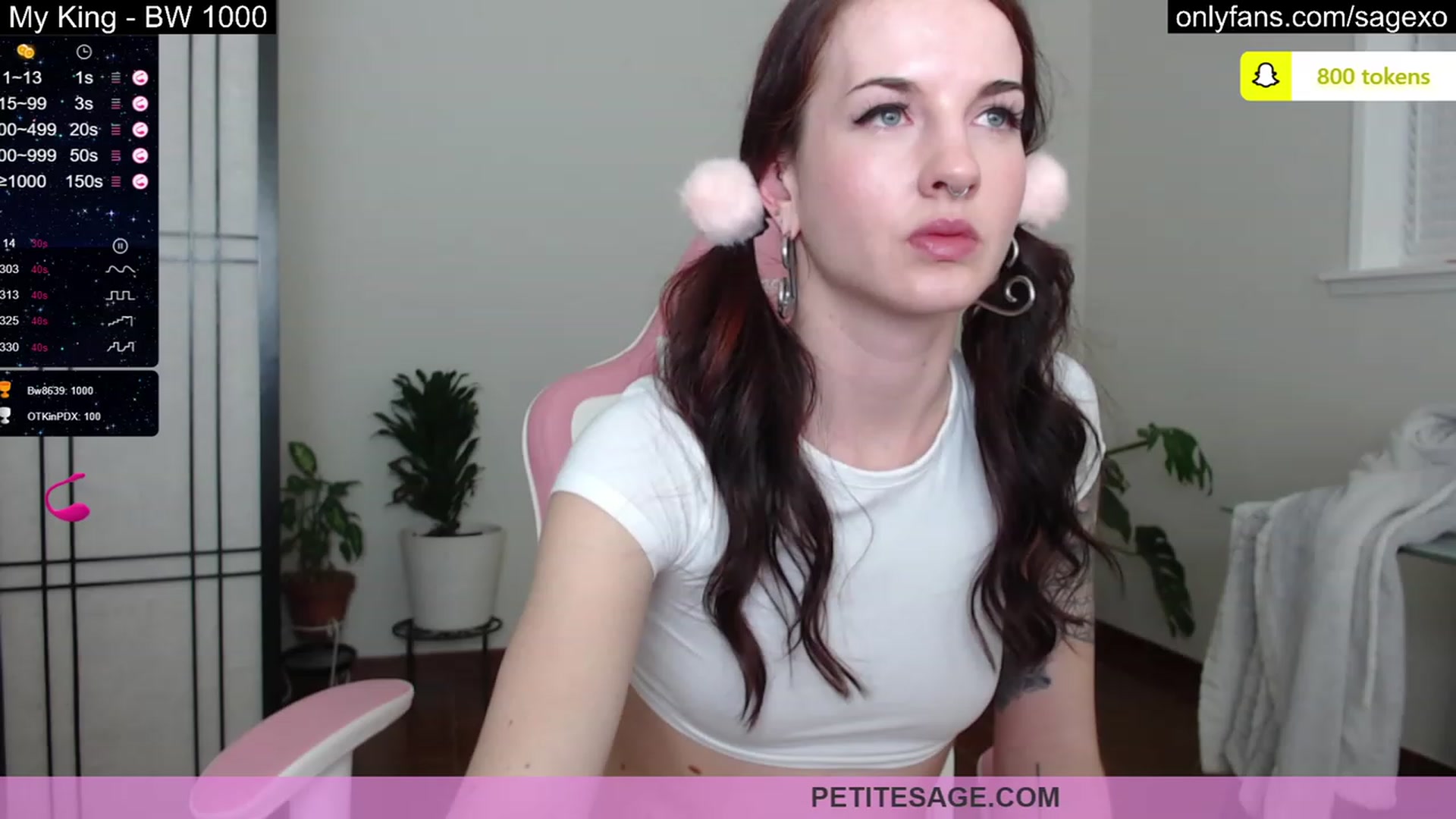 Gallery image thumbnail from PetiteSage's myfreecams stream on, 03/09/2023, 02:20 image 4 of 20