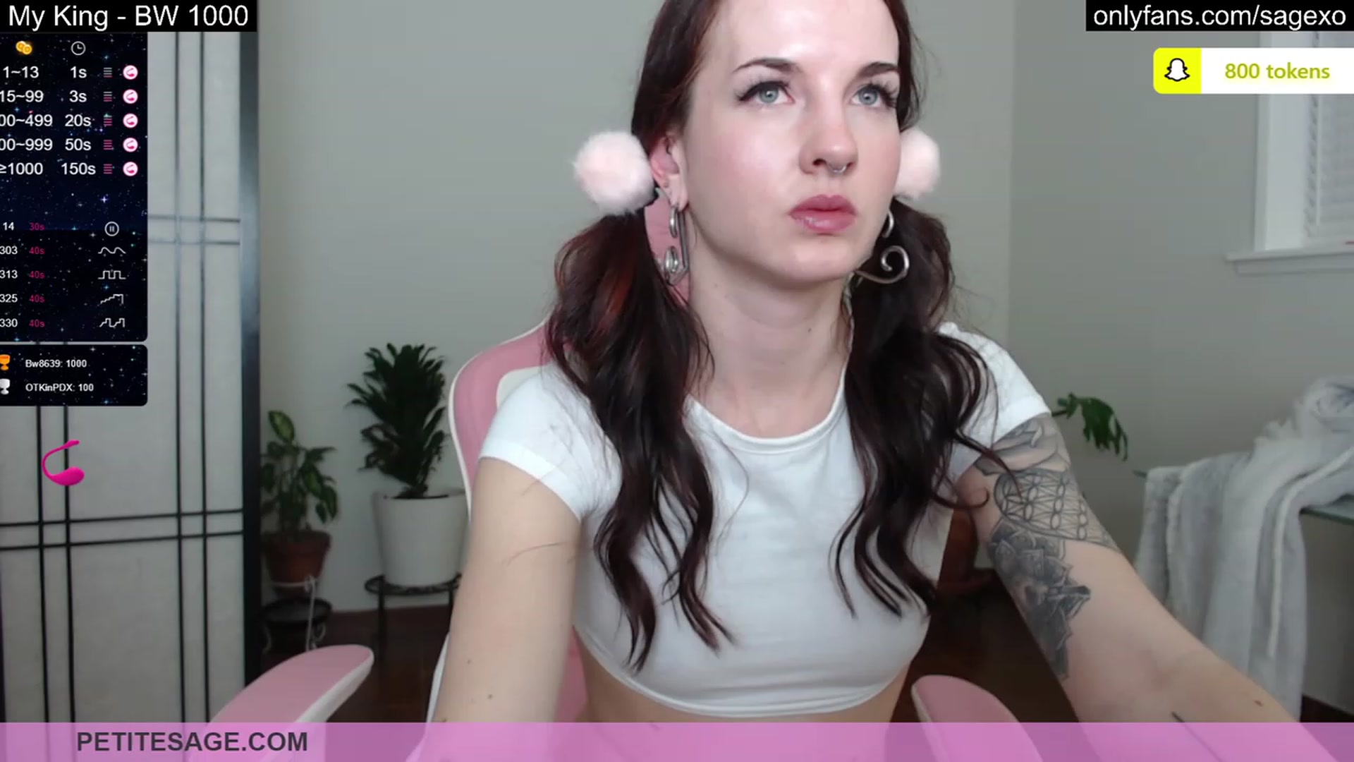 Gallery image thumbnail from PetiteSage's myfreecams stream on, 03/09/2023, 02:20 image 8 of 20