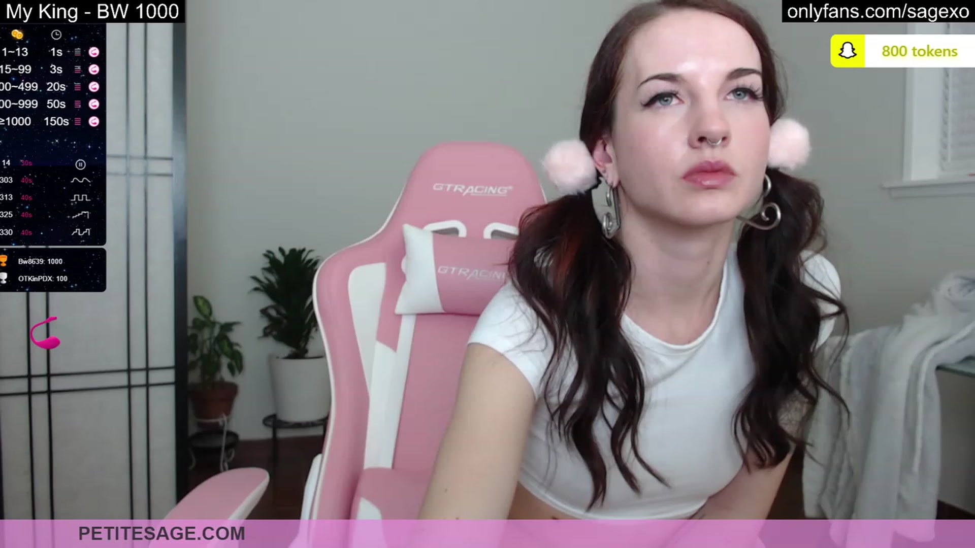 Gallery image thumbnail from PetiteSage's myfreecams stream on, 03/09/2023, 02:20 image 16 of 20