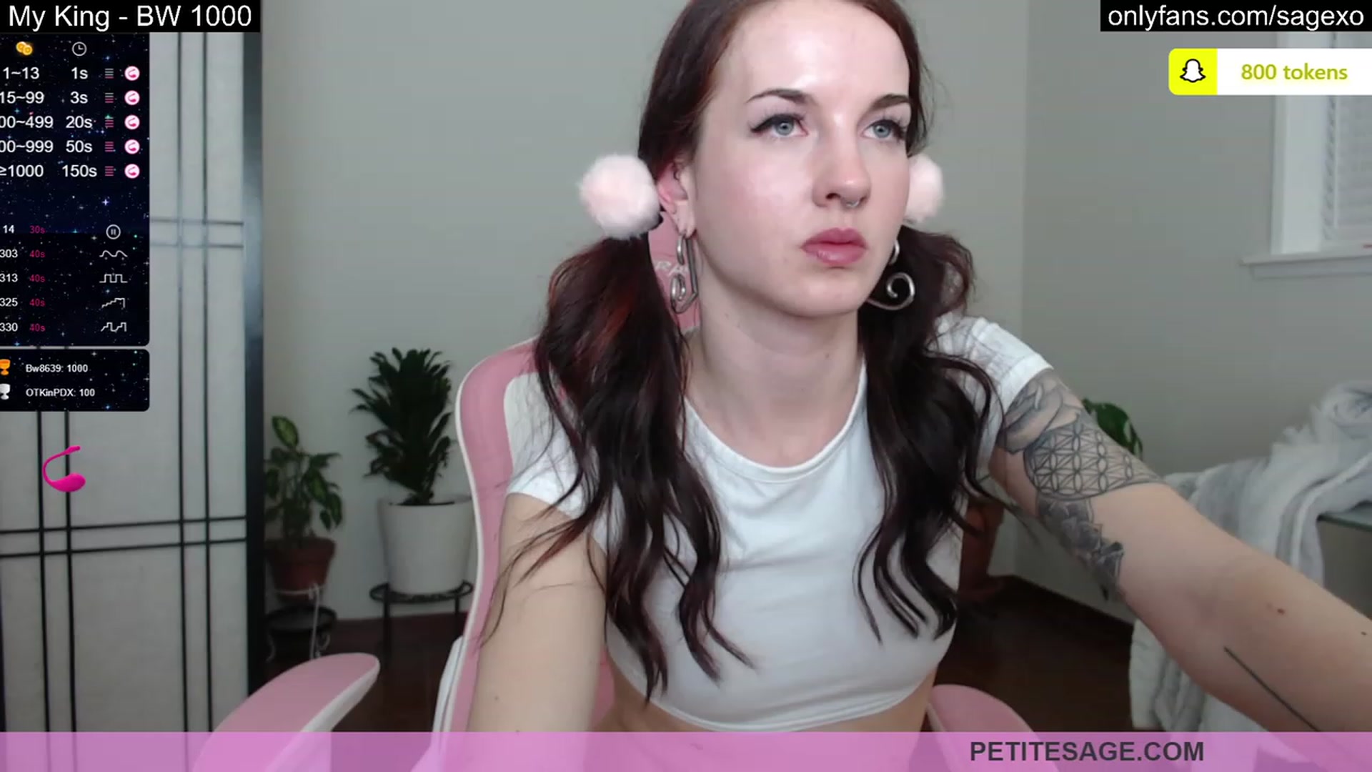 Gallery image thumbnail from PetiteSage's myfreecams stream on, 03/09/2023, 02:20 image 11 of 20