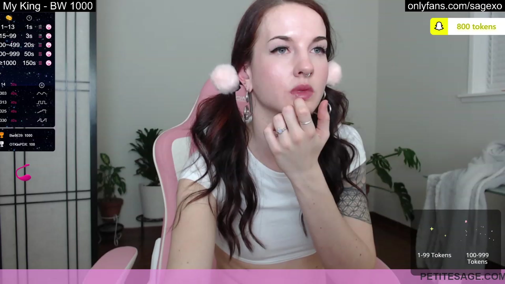Gallery image thumbnail from PetiteSage's myfreecams stream on, 03/09/2023, 02:20 image 10 of 20